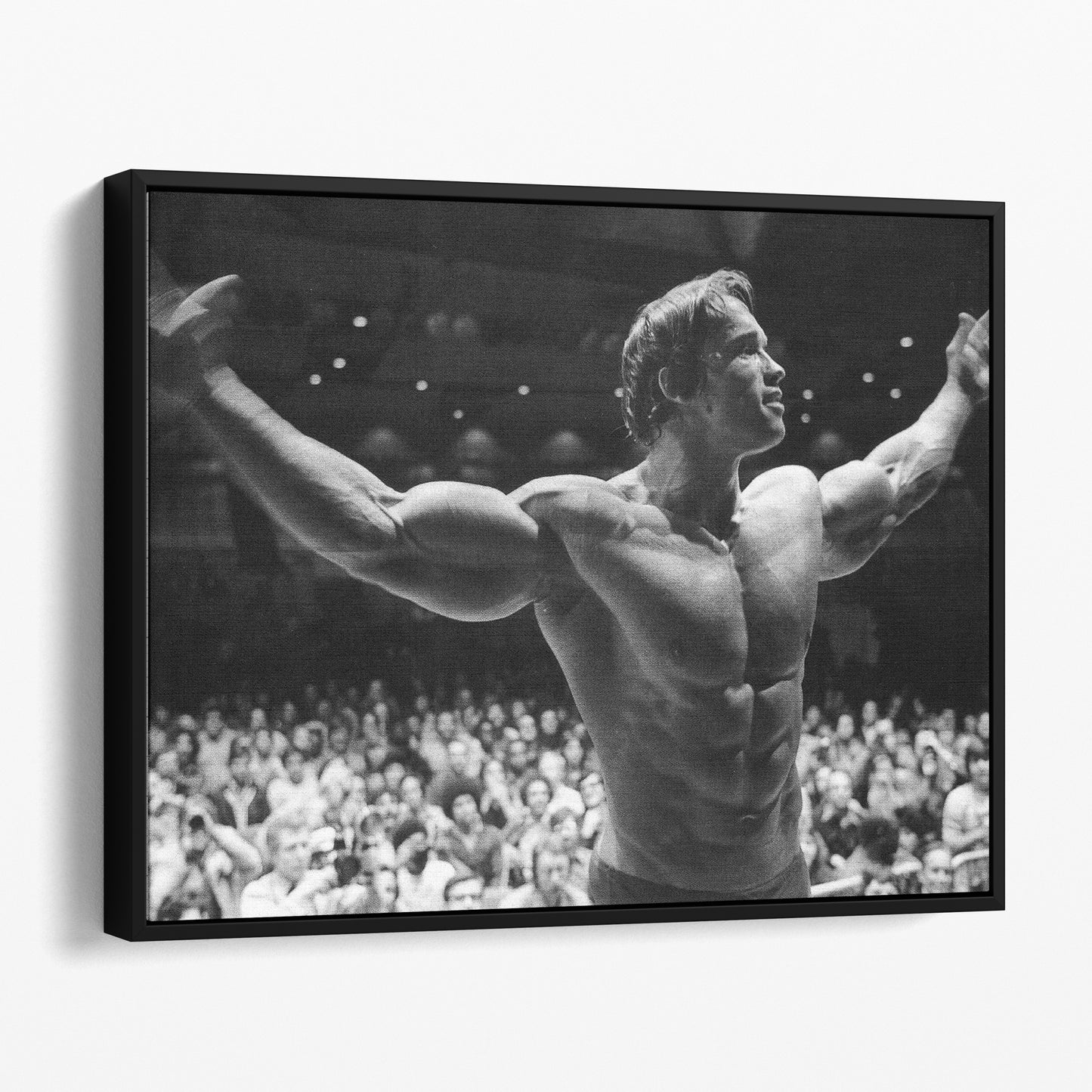 Arnold Schwarzenegger Conquer