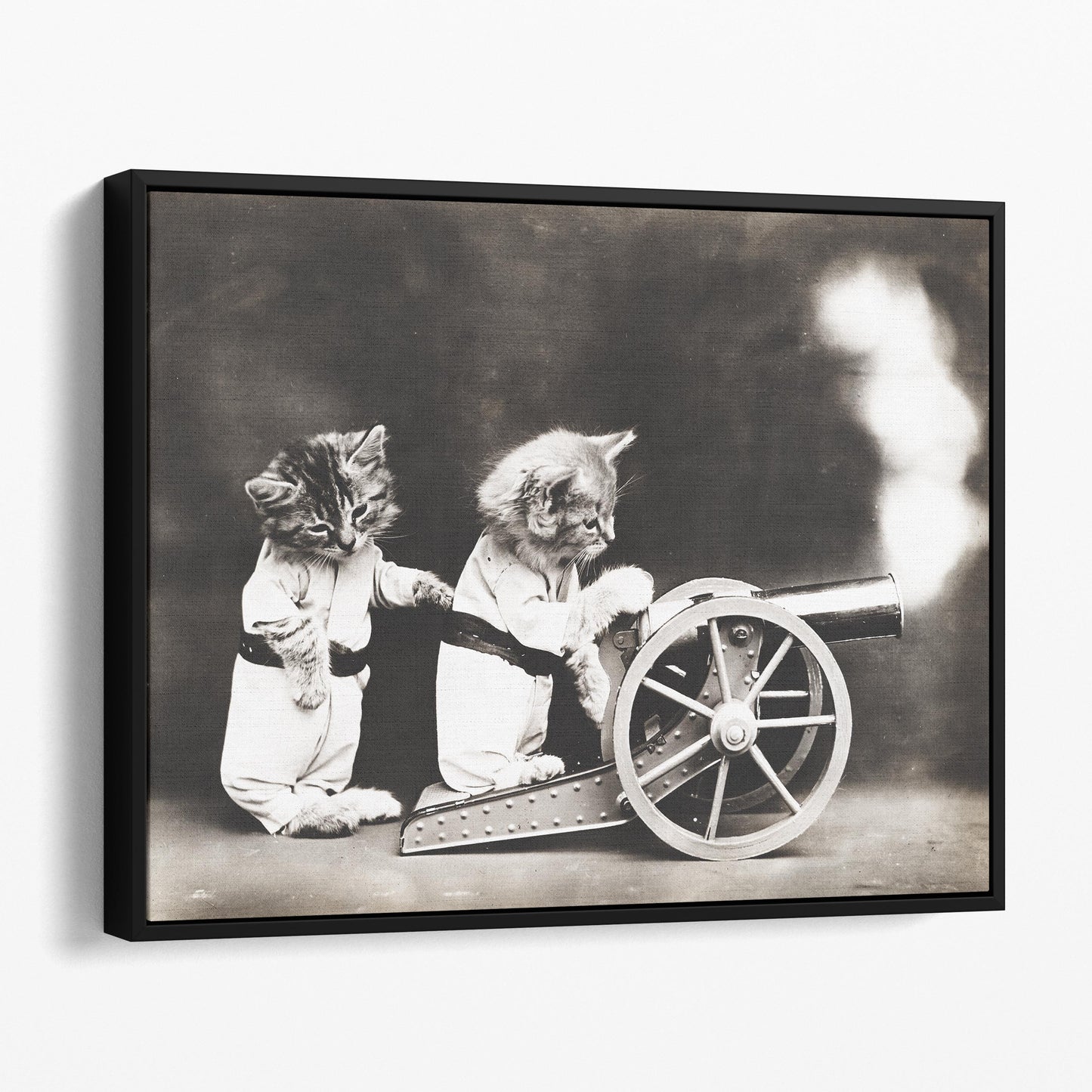 Two Cats Firing A Cannon 1800s