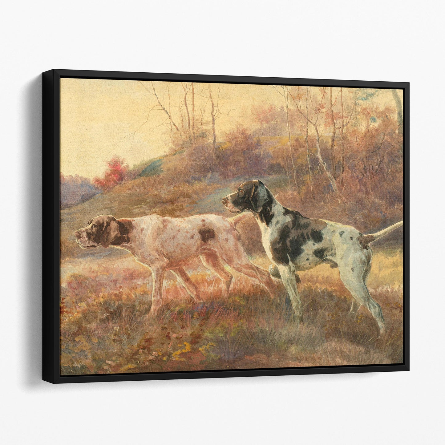 Pointers in the Field - Victorian Hunting Dogs