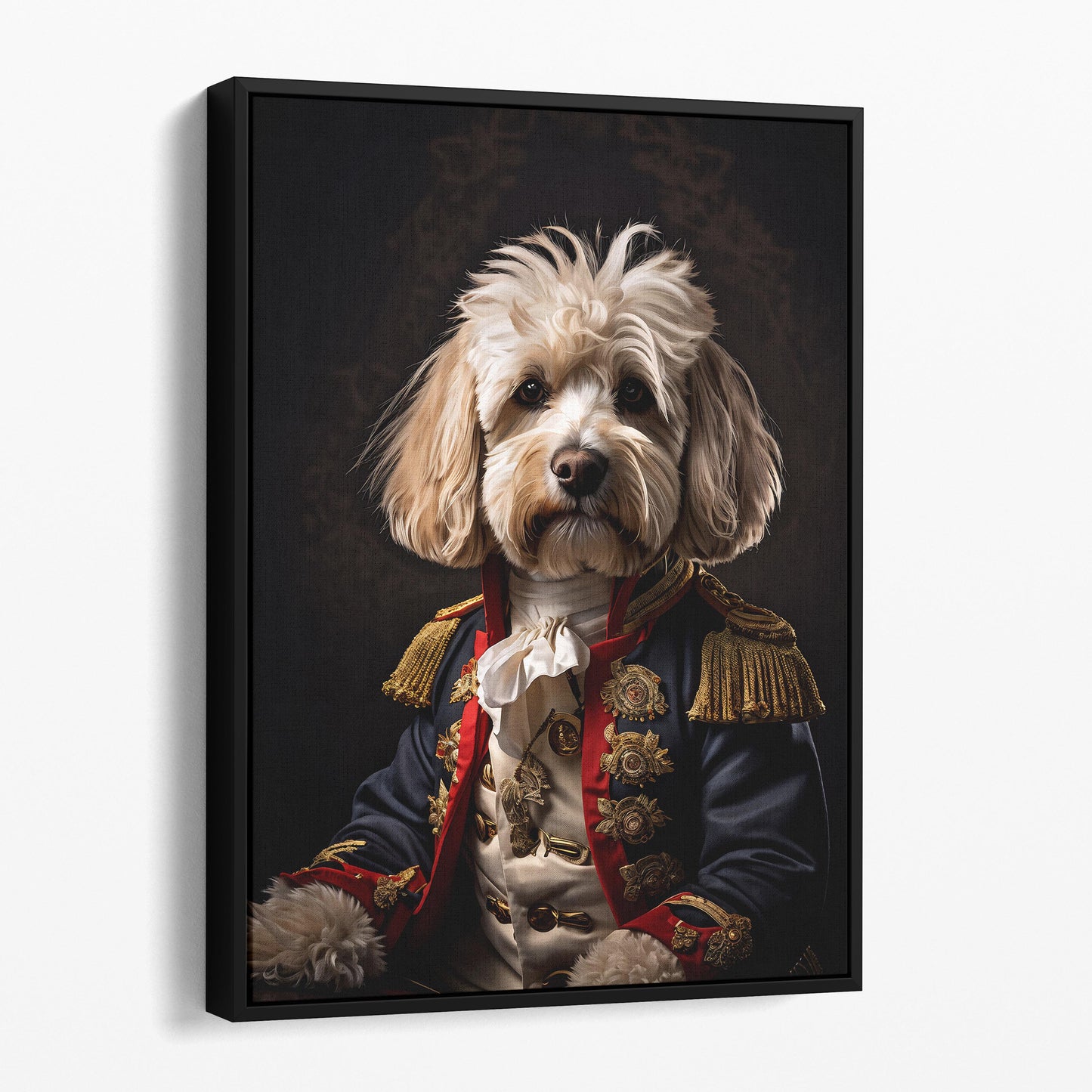 Maltese Shih Tzu Dog Aristocrat Portrait
