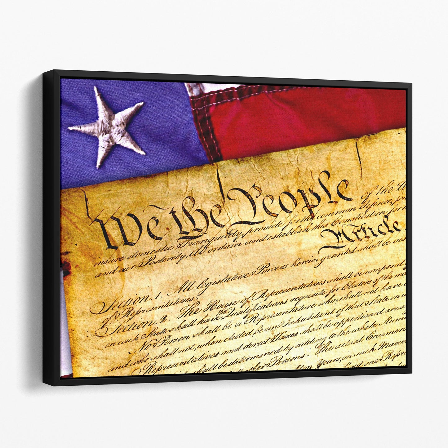 United States Constitution - We The People