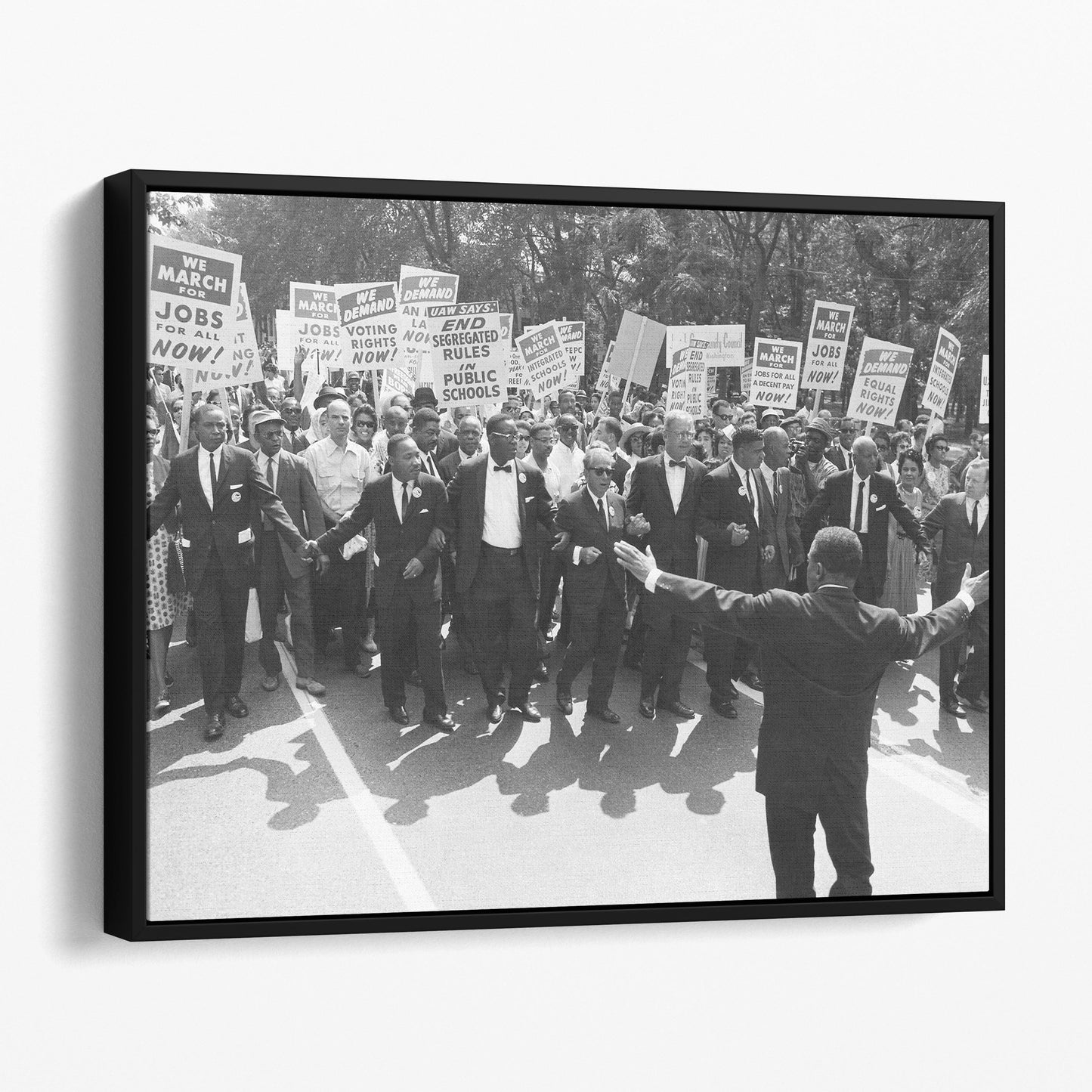 Martin Luther King Jr MLK March On Washington 1960s