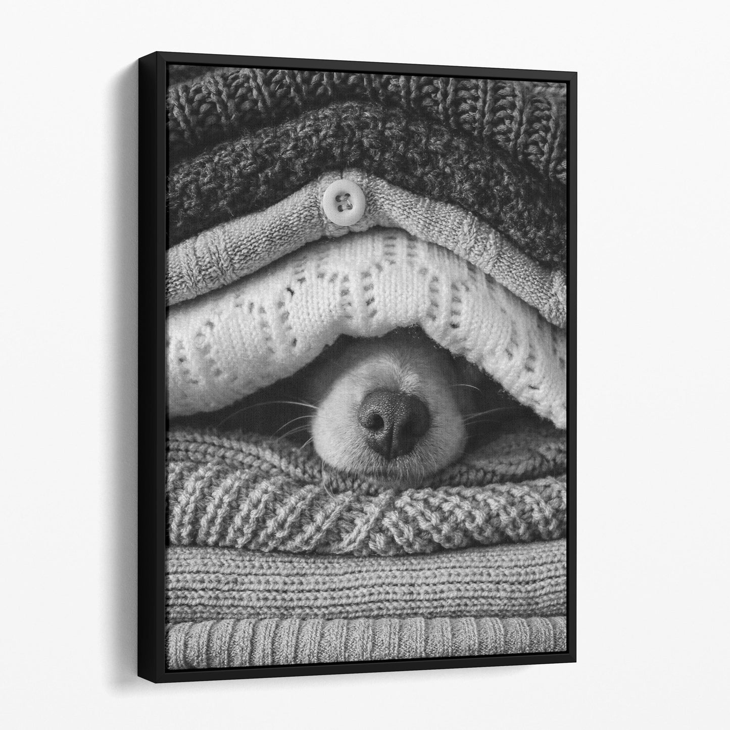 Noses Only - Dog Hiding Between Sweaters