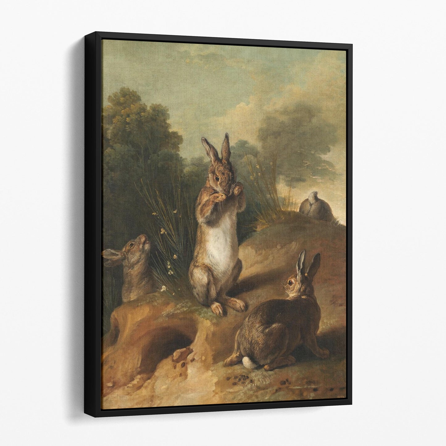 Rabbits 1720 by Francois Desportes