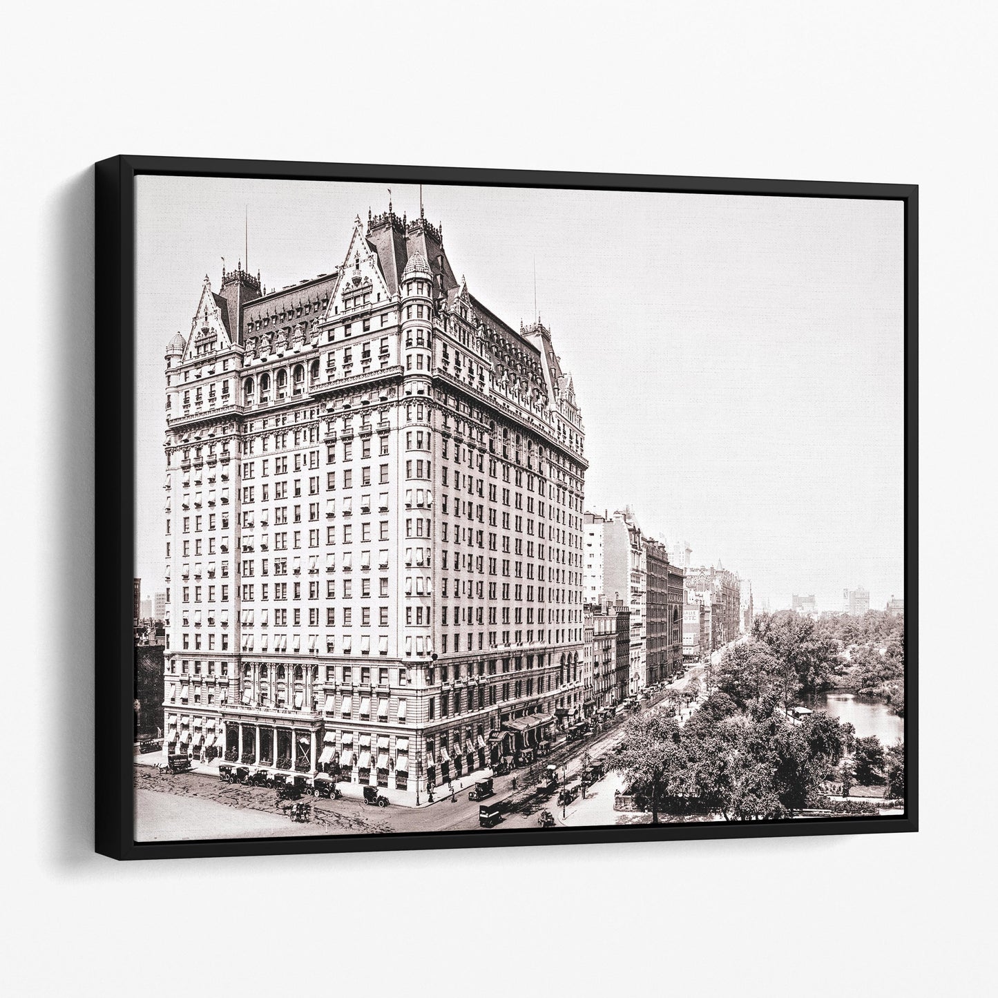Plaza Hotel New York City 1910