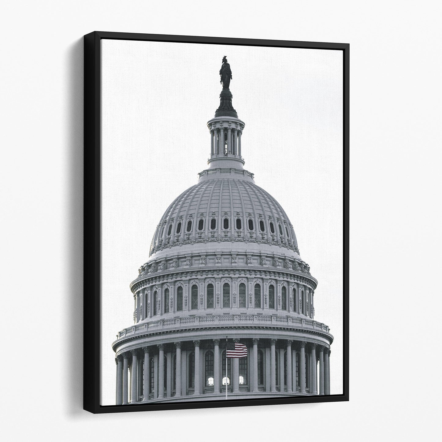 U.S. Capitol Building