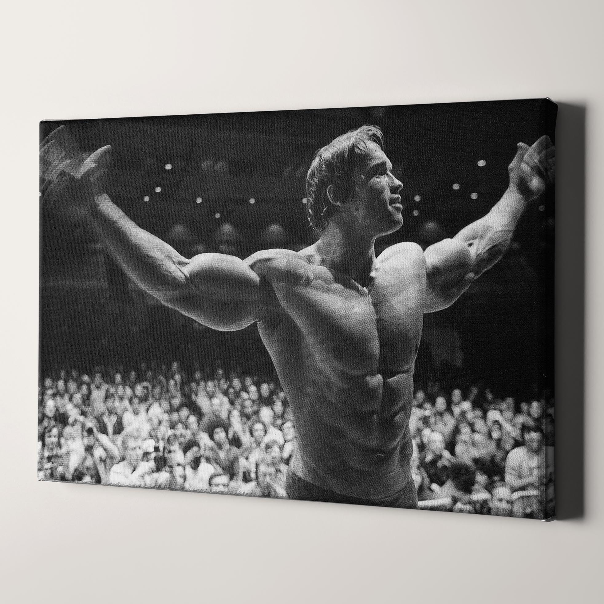 Arnold Schwarzenegger With Cigar Pop Art Poster – 20x30 Wall Art Print