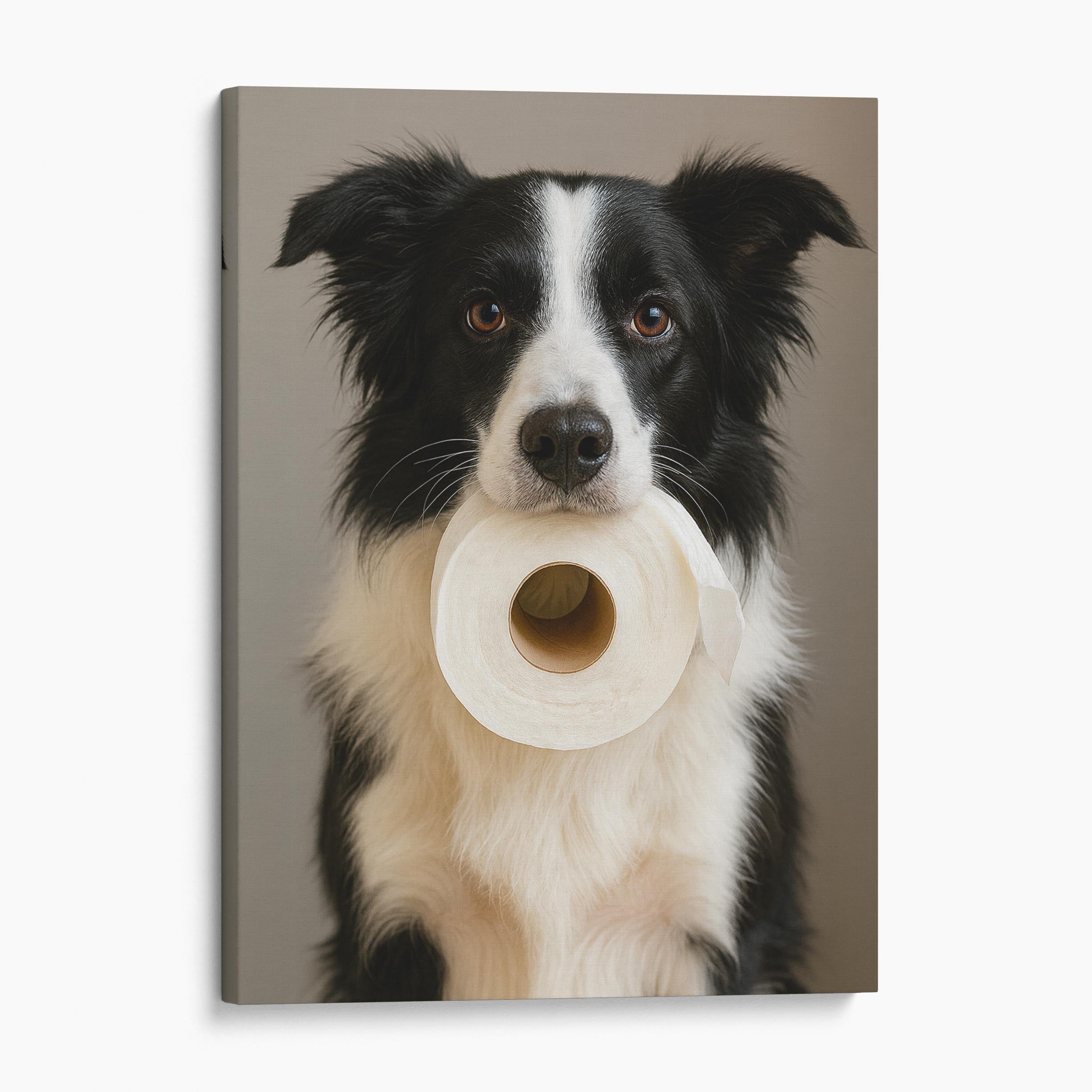 Border Collie Dog Toilet Paper Canvas Wall Art Prints Big