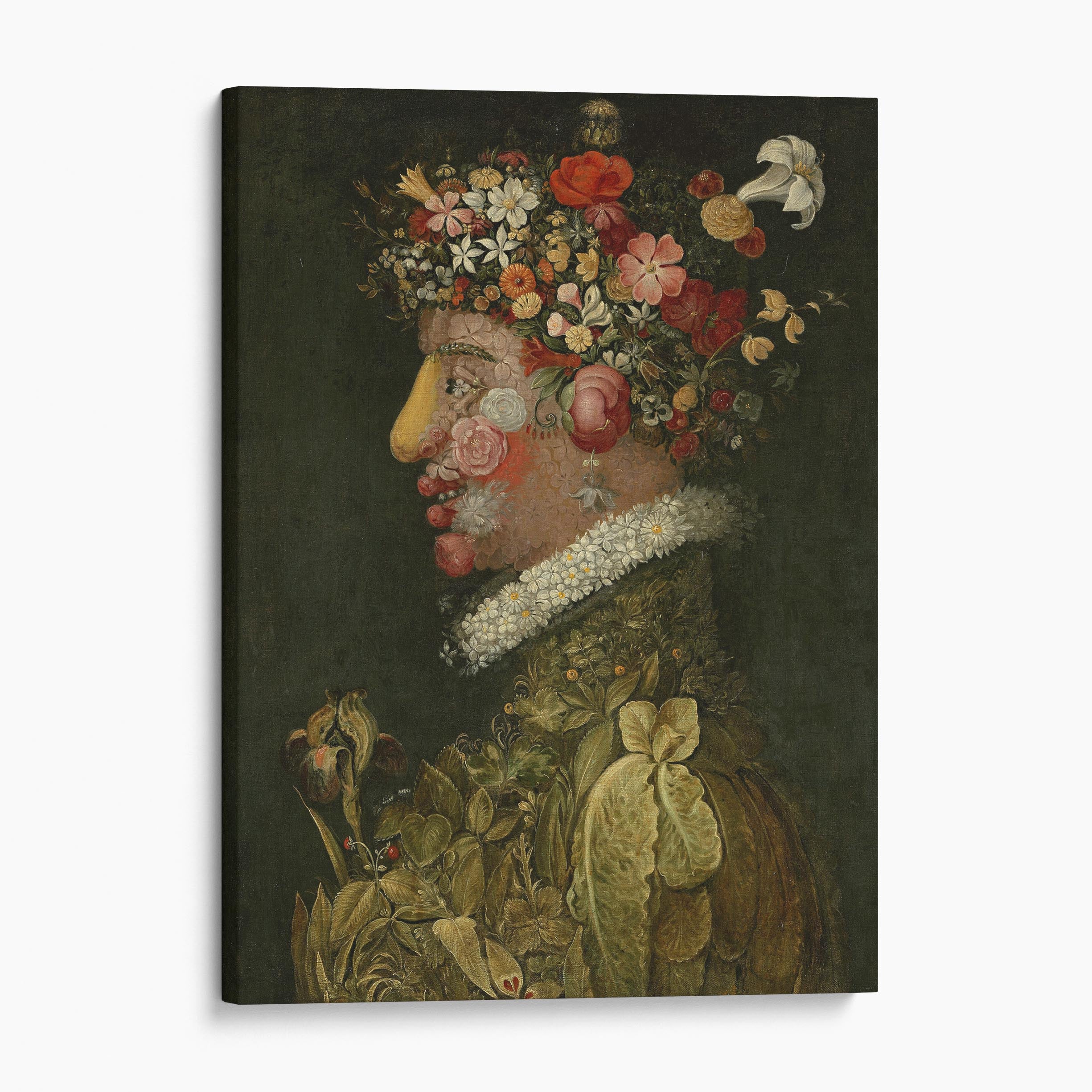 Spring - The Four Seasons by Giuseppe Arcimboldo Canvas Wall Art Prints ...