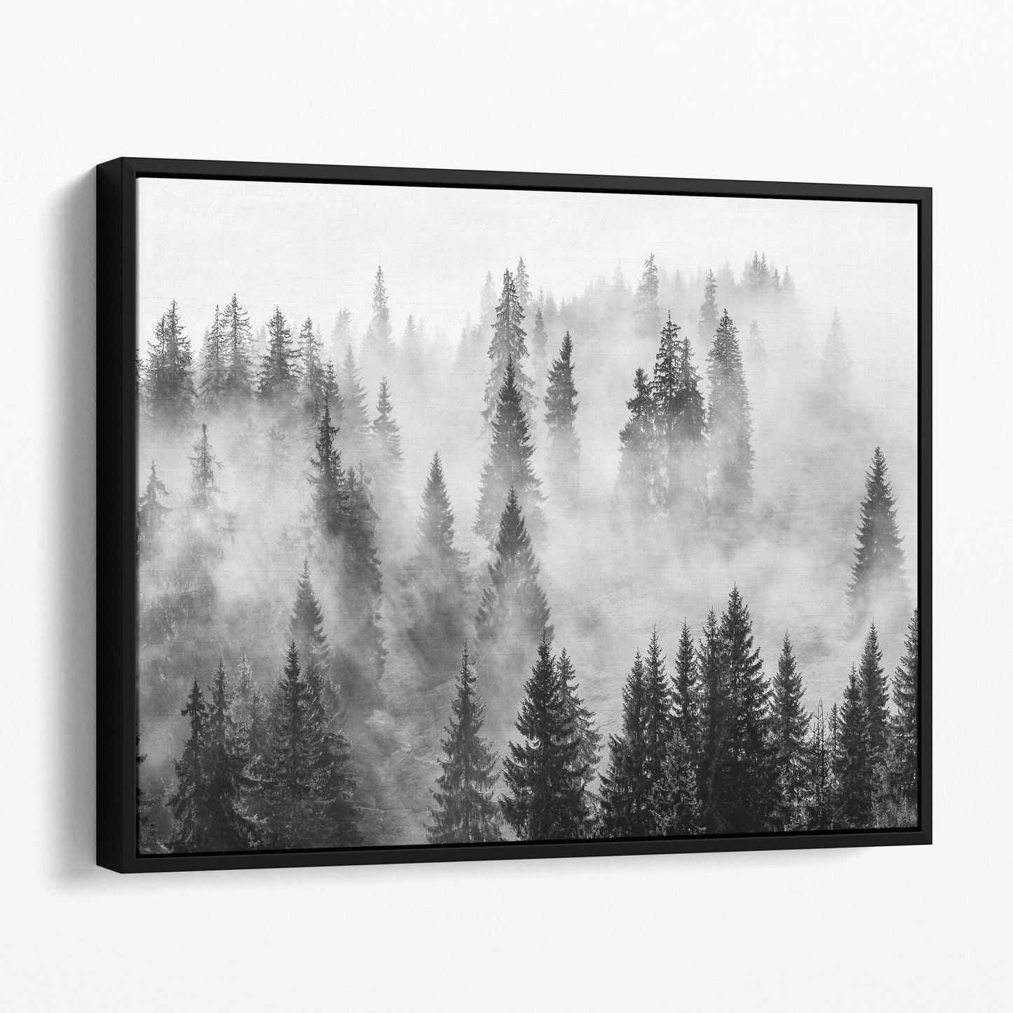 Foggy Forest