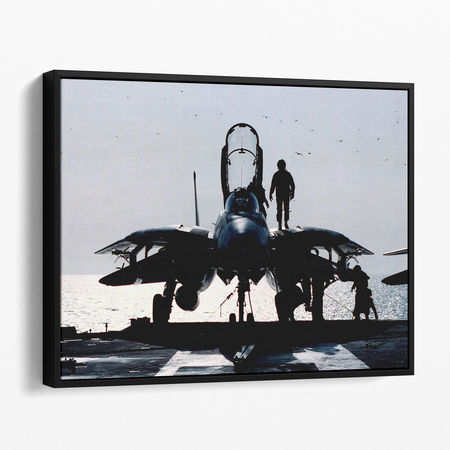 Pilots Prepares F-14 Airplane for Mission