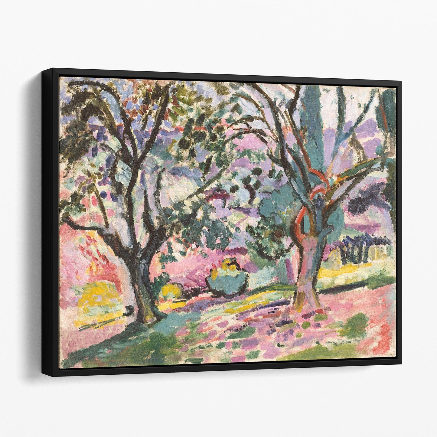 Olive Trees at Collioure 1905 Landscape by Henri Matisse