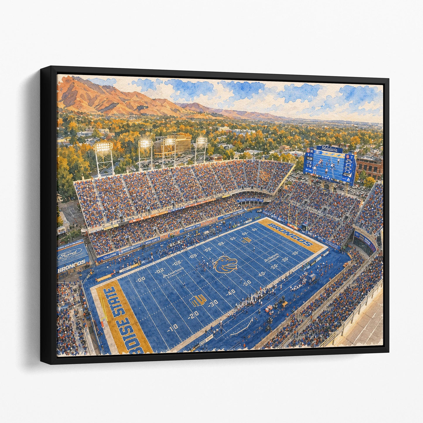 Albertsons Stadium, Boise State