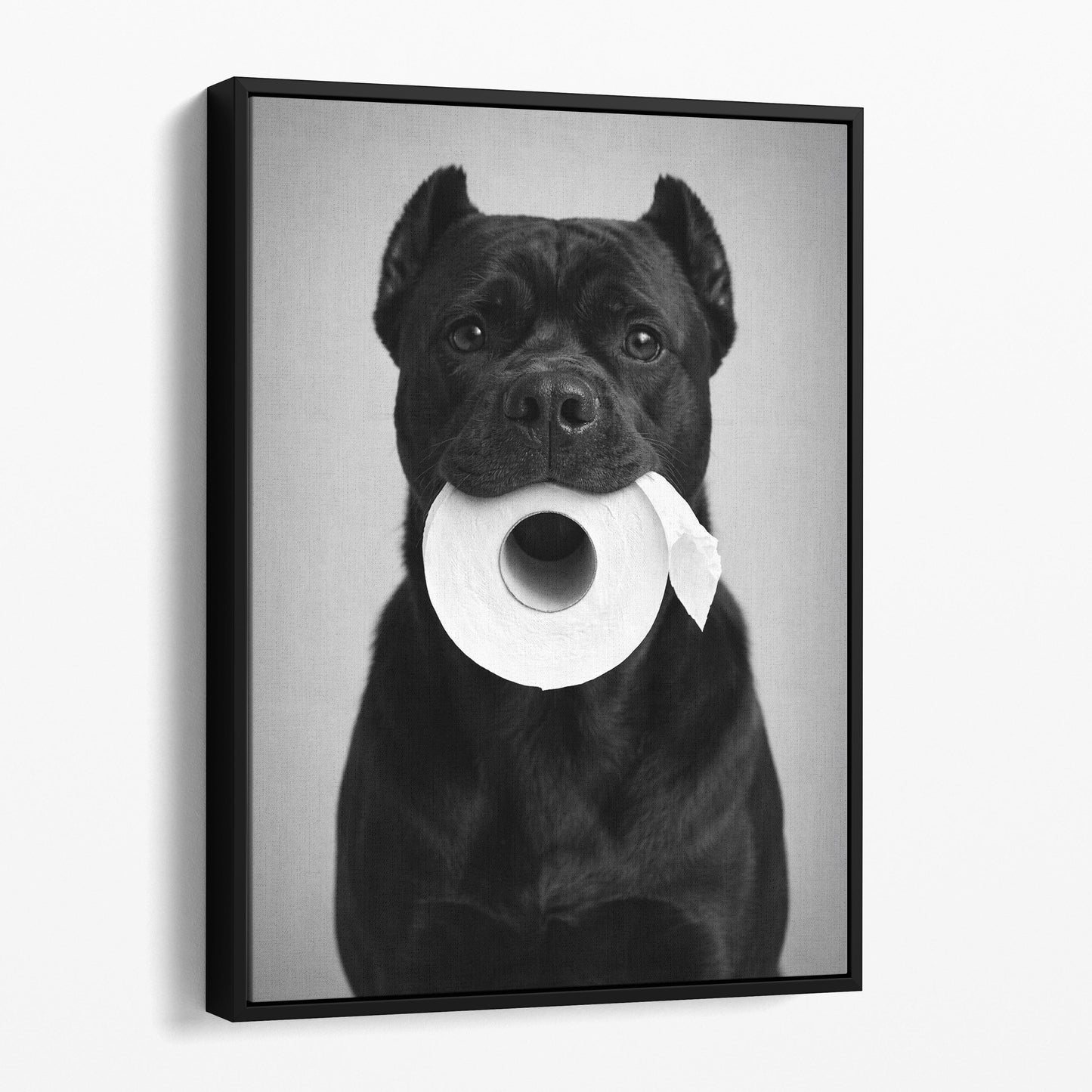 Cane Corso Toilet Paper