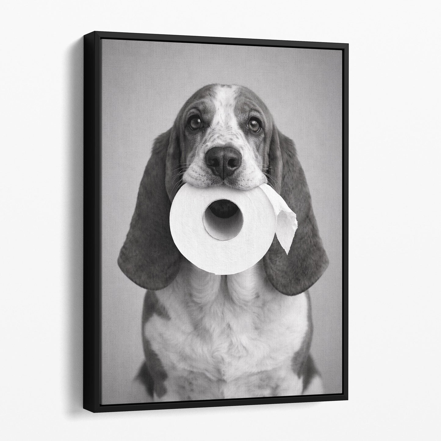 Basset Hound Toilet Paper