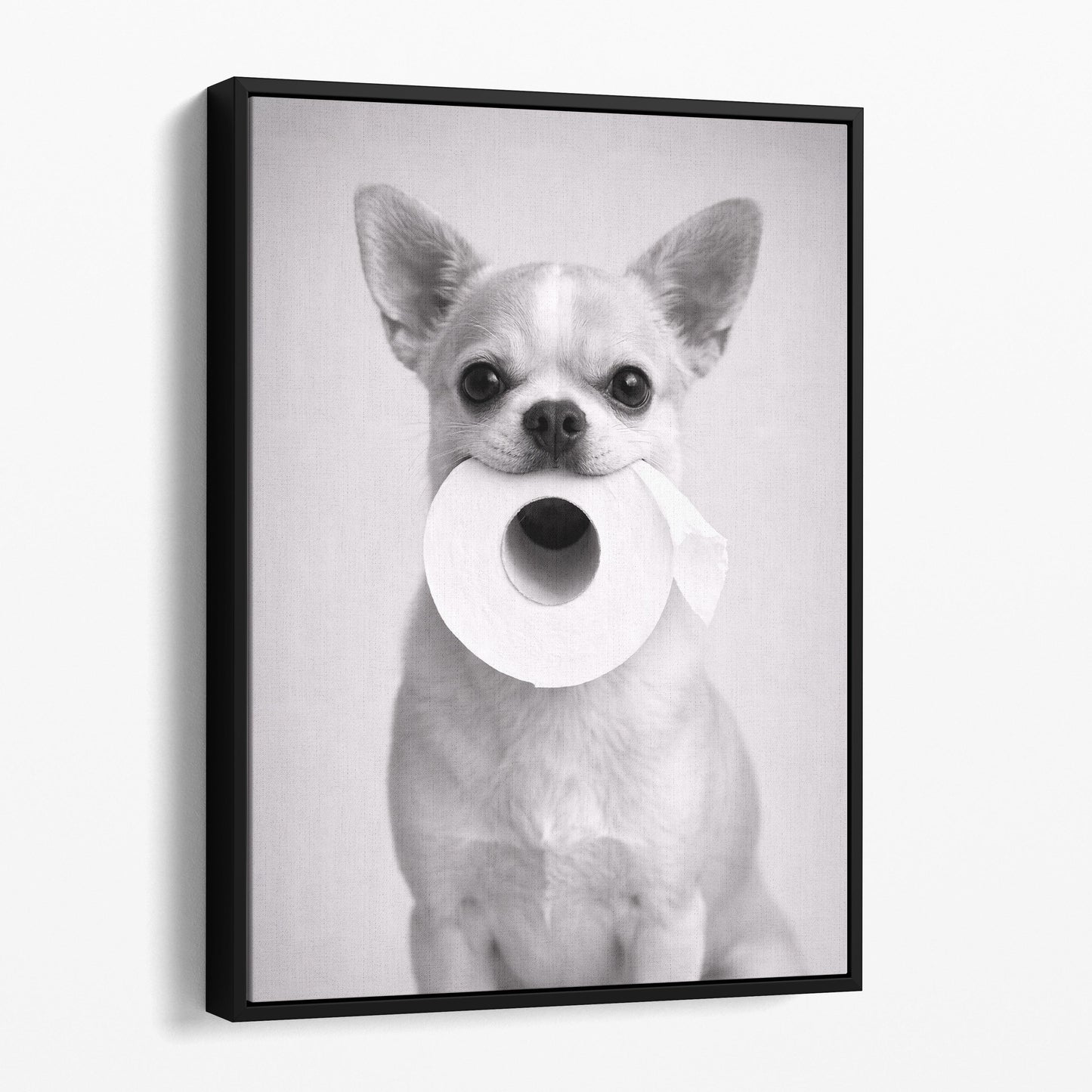 Chihuahua Dog Toilet Paper