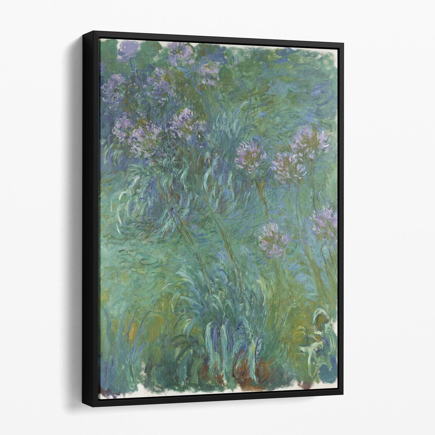 Agapanthus (1914) by Claude Monet