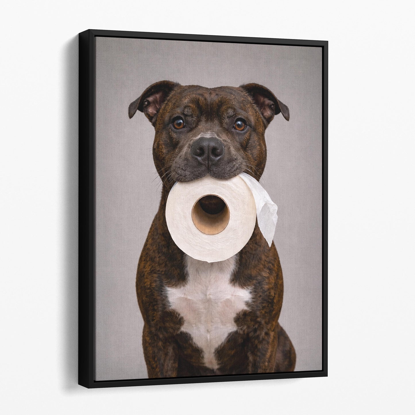 Staffordshire Bull Terrier Dog Toilet Paper
