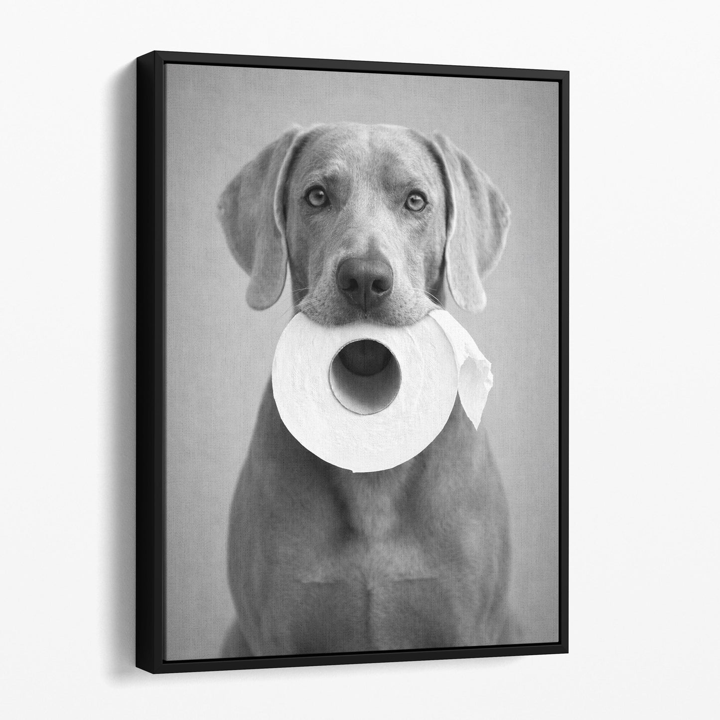 Weimaraner Dog Toilet Paper