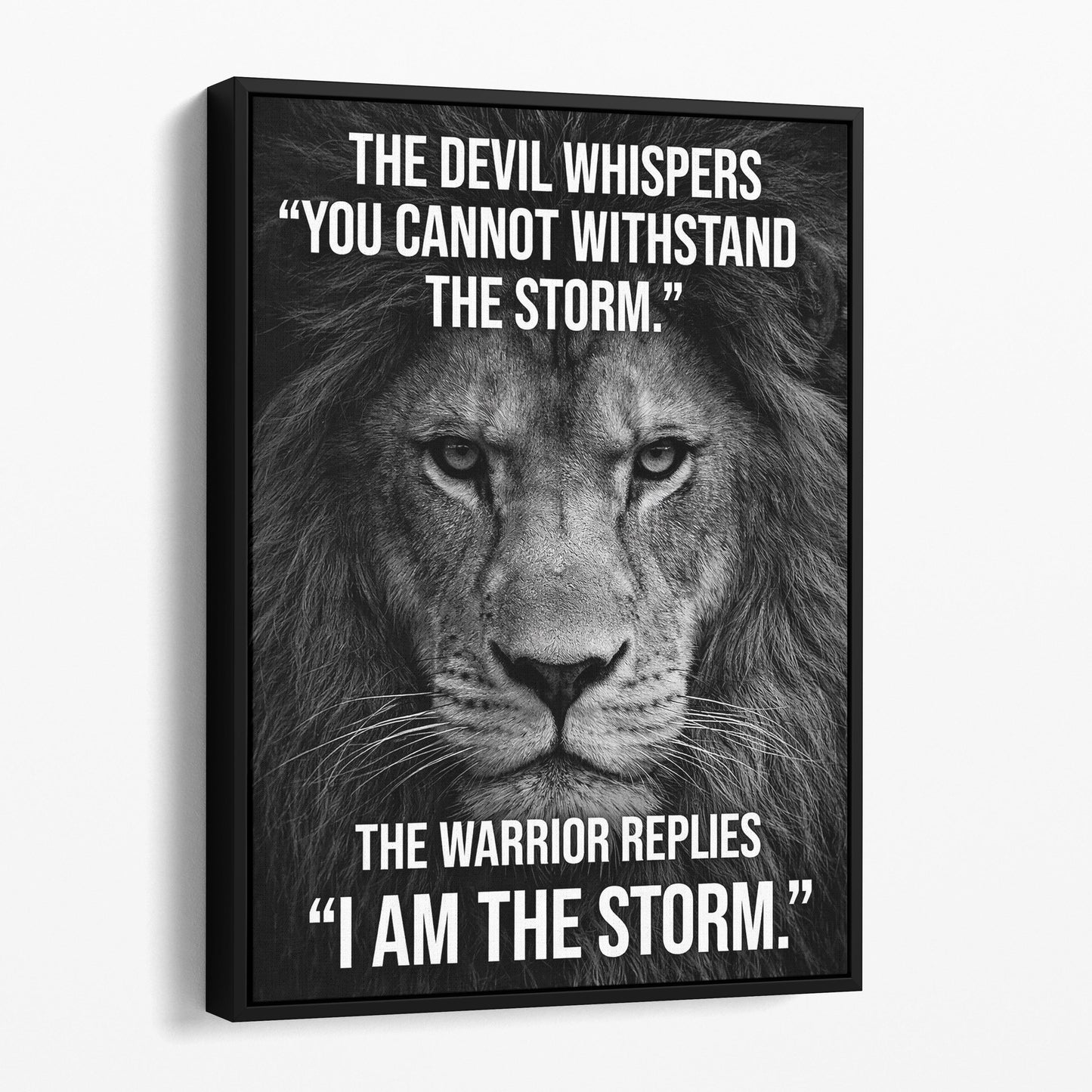 The Warrior - I Am The Storm
