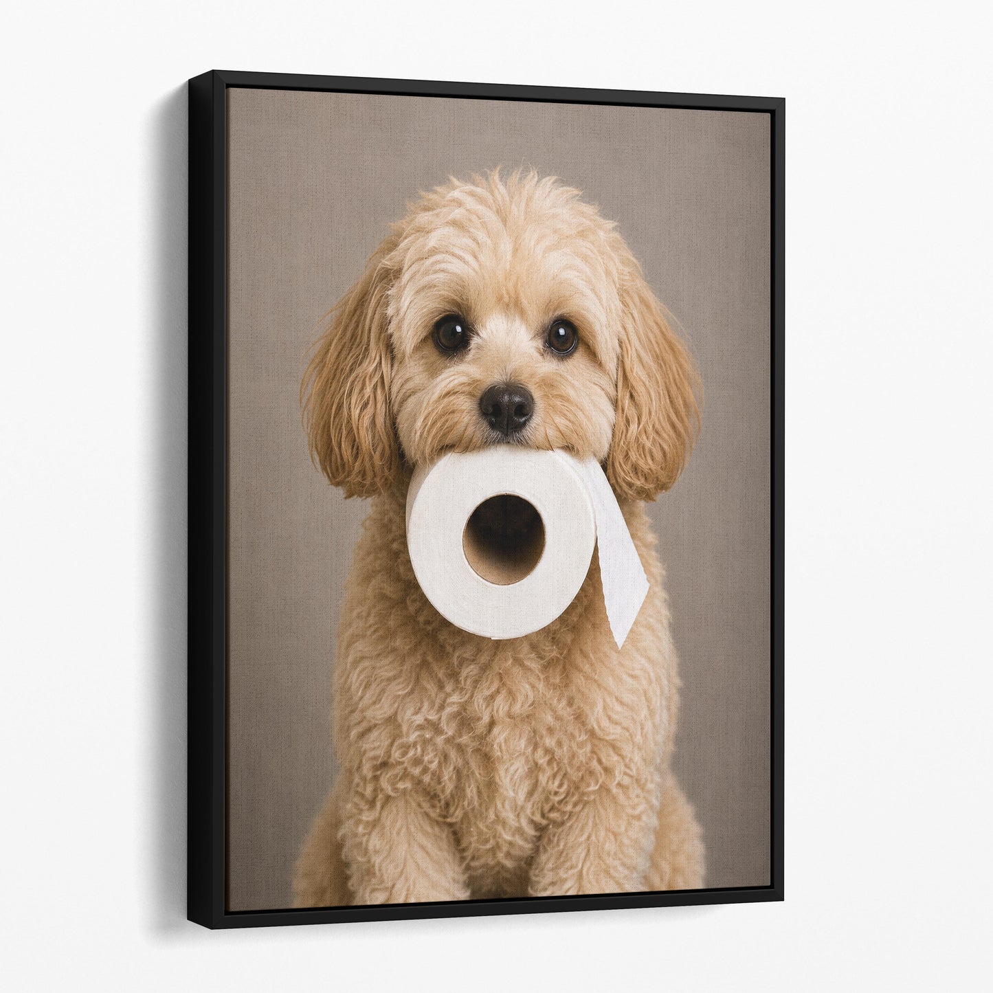 Maltipoo Dog Toilet Paper