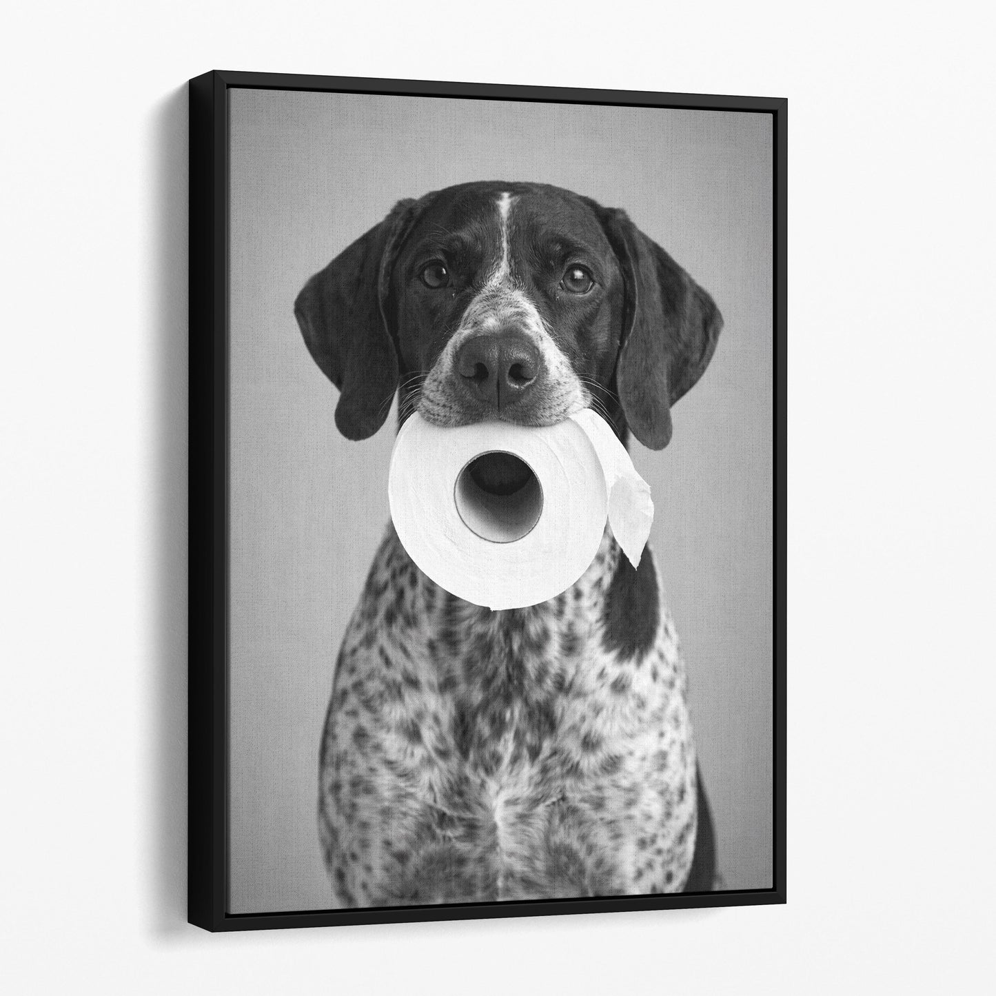 German Shorthaired Pointer Dog Toilet Paper