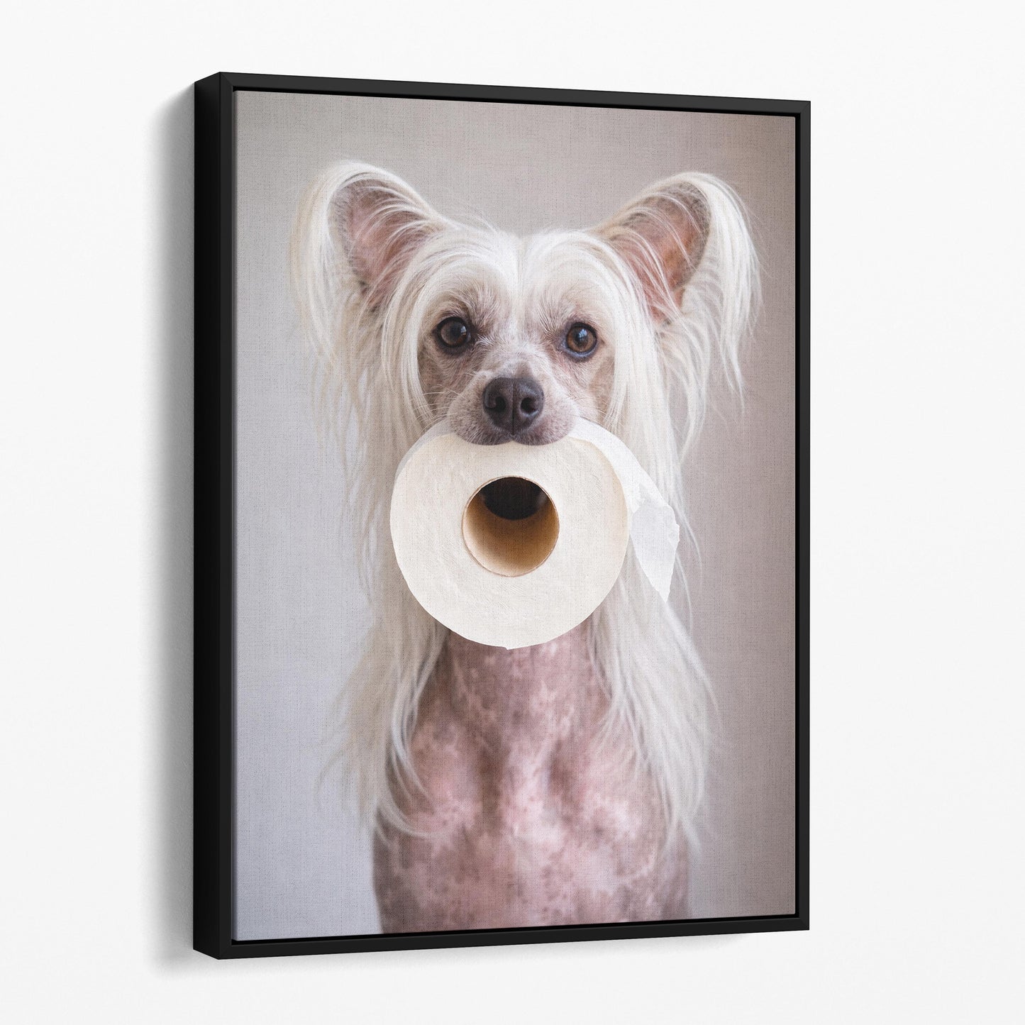 Chinese Crested Dog Toilet Paper