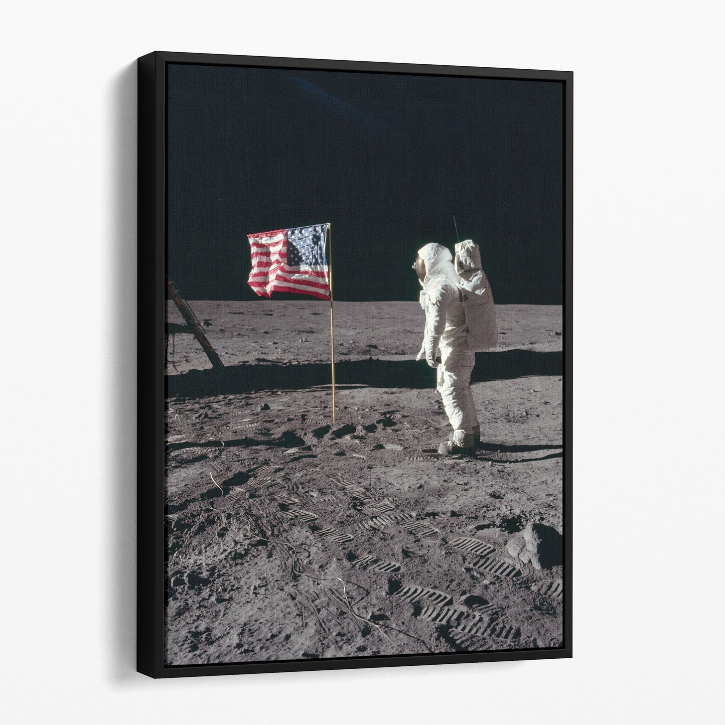 Buzz Aldrin Salutes The American Flag On The Moon