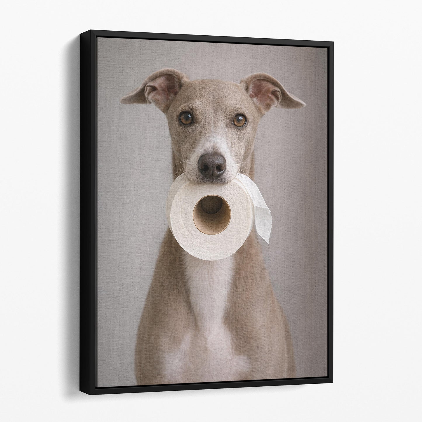 Italian Greyhound Dog Toilet Paper