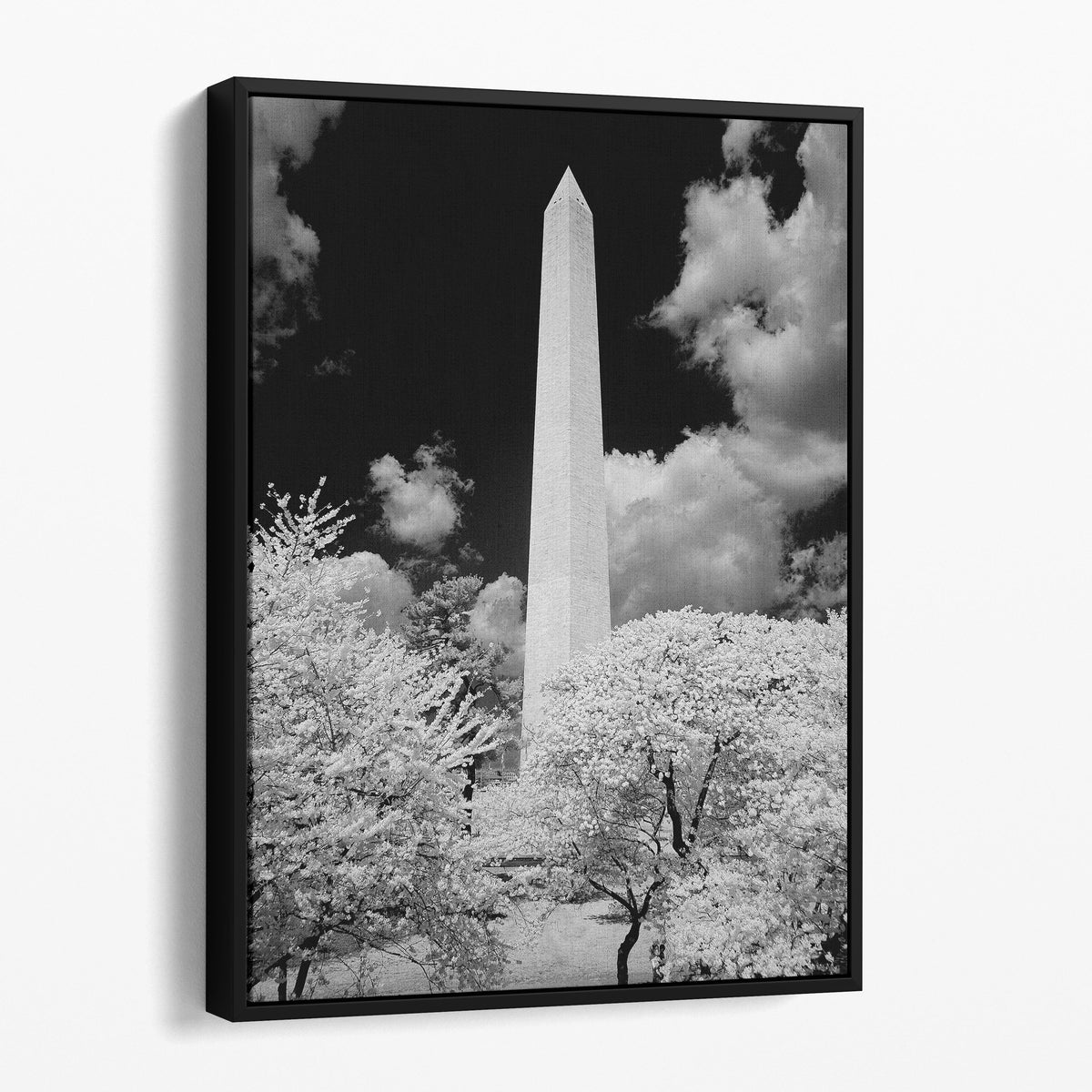 Washington Monument, Washington, D.C.