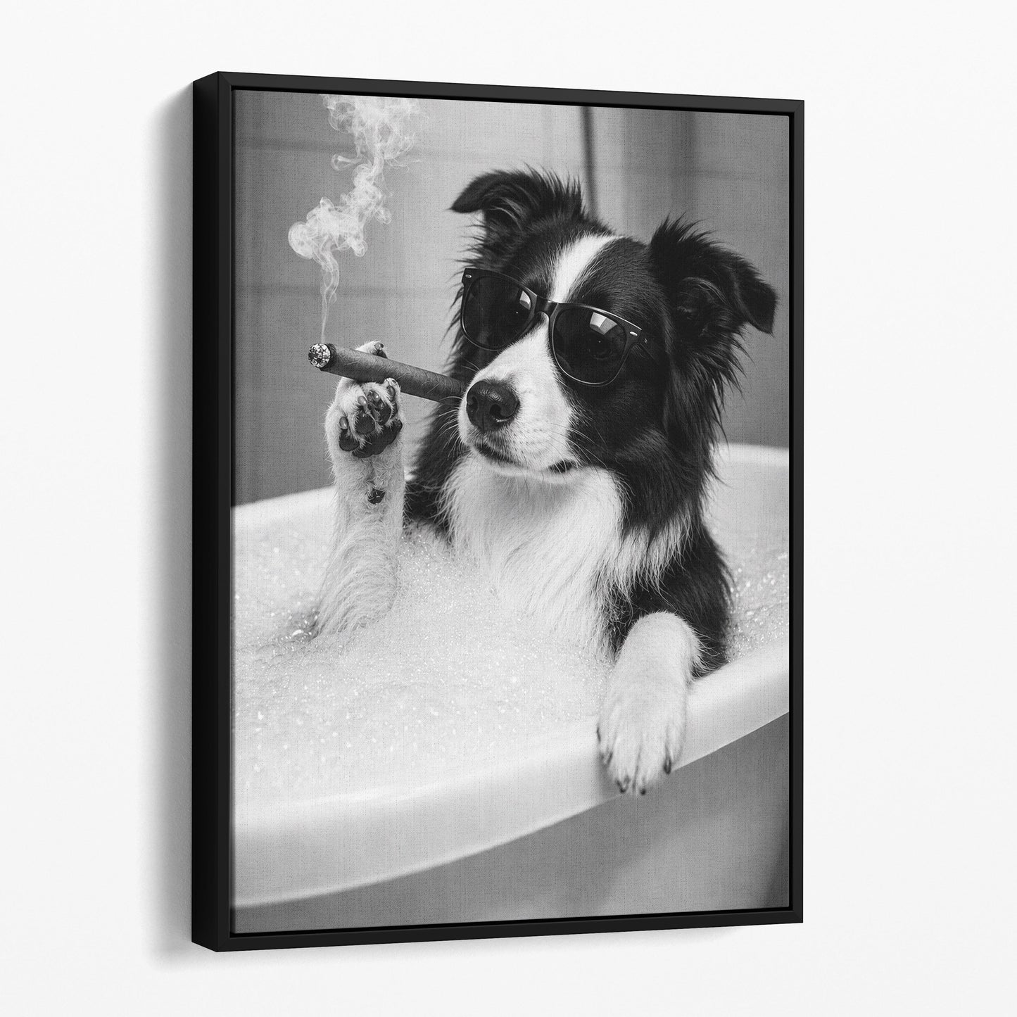 Border Collie Dog Bathtub Cigar