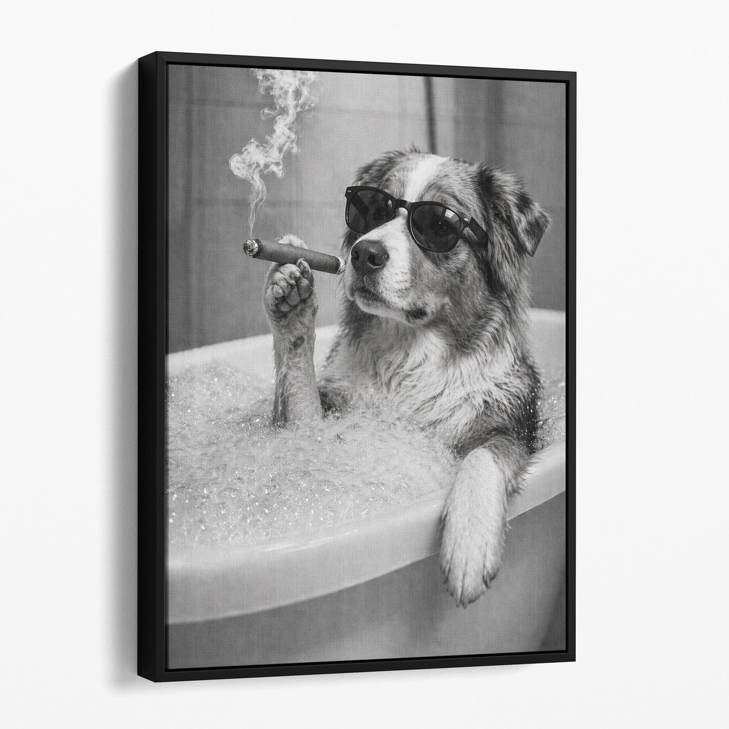 Australian Shepherd Dog Bathtub Cigar