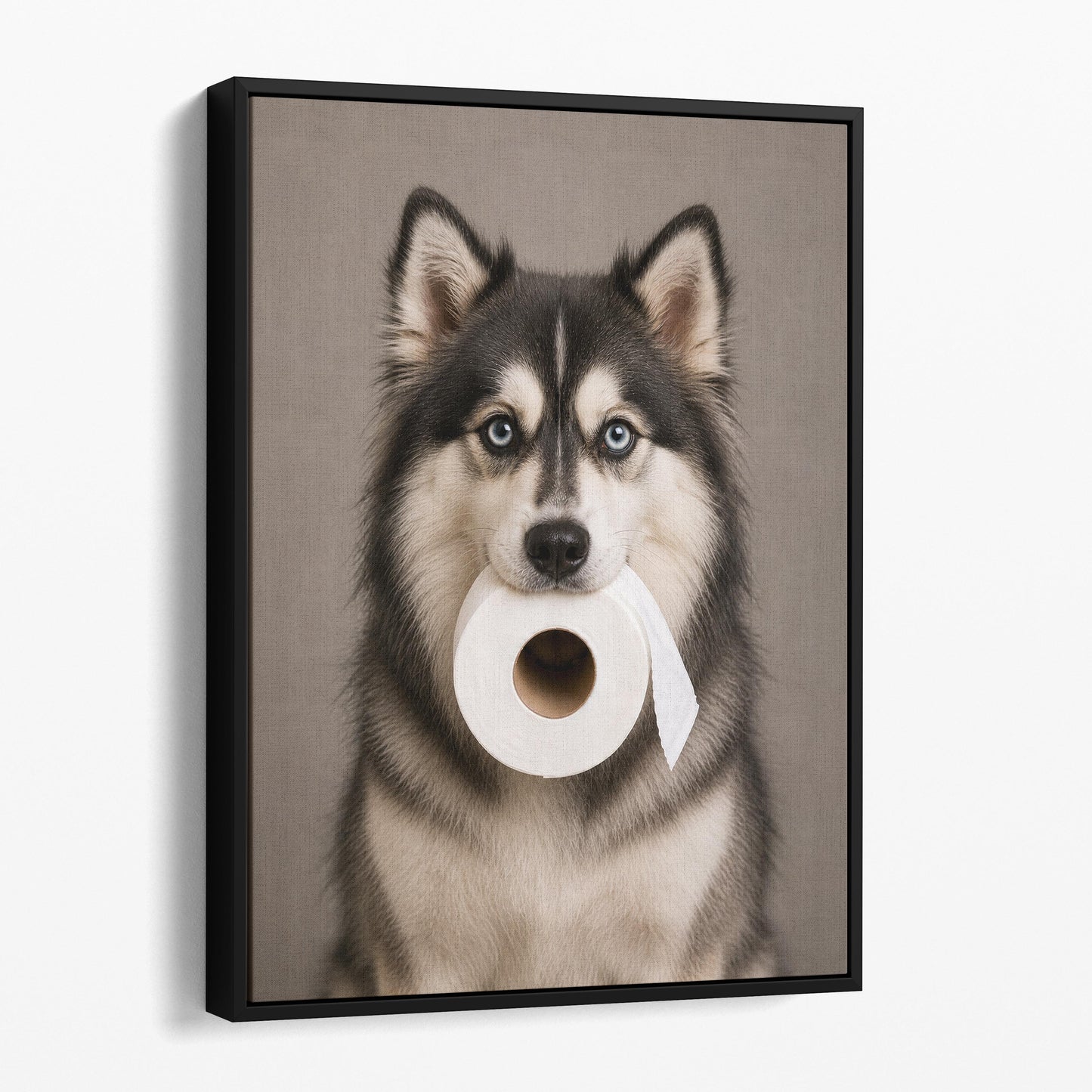 Pomsky Dog Toilet Paper