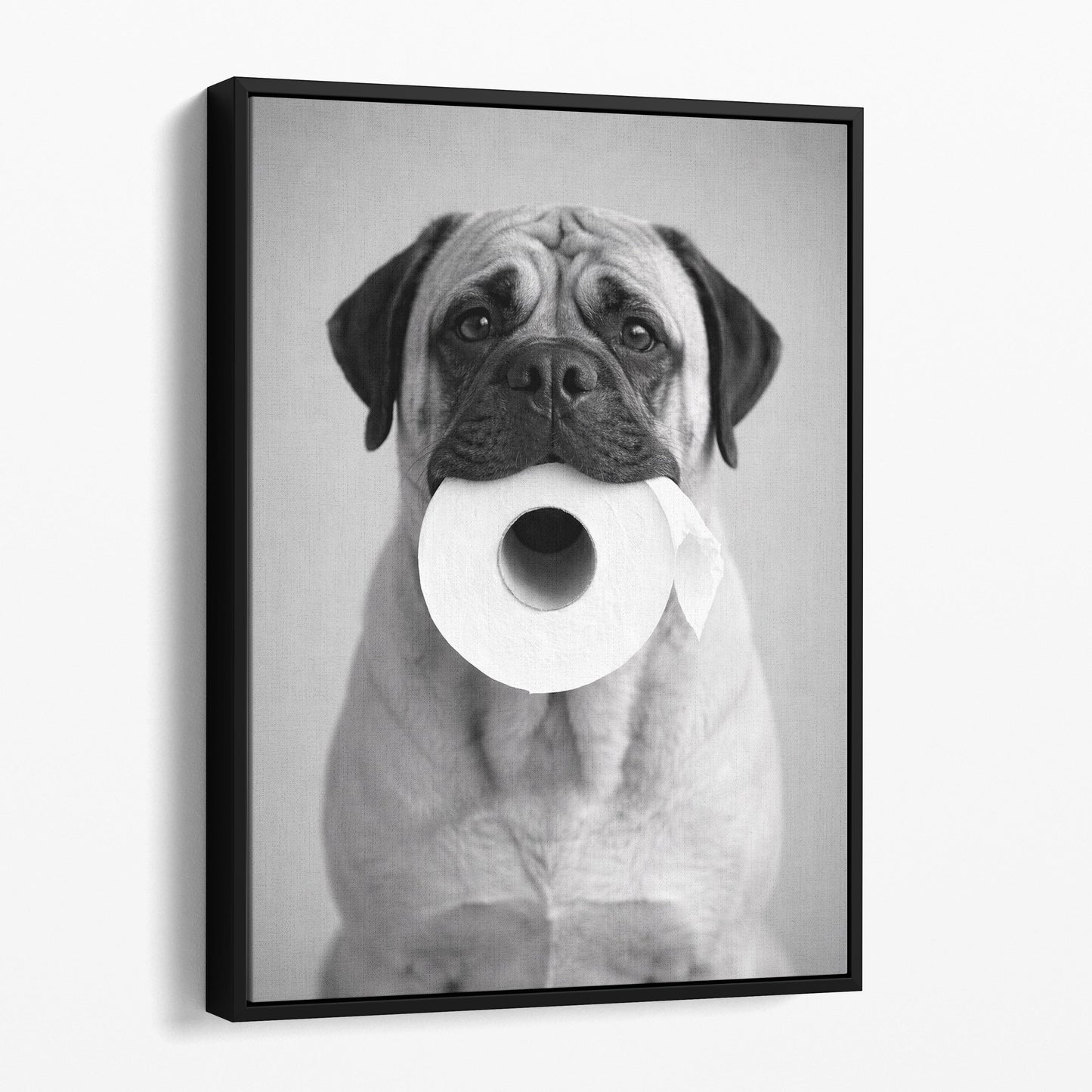 Mastiff Dog Toilet Paper