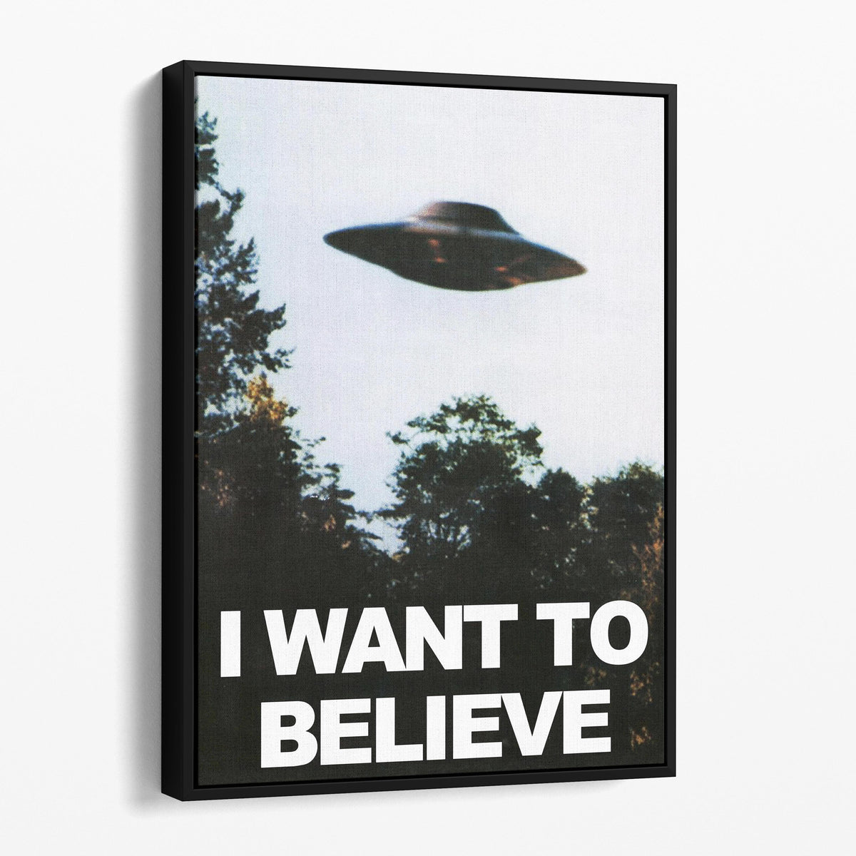 I Want To Believe UFO Poster