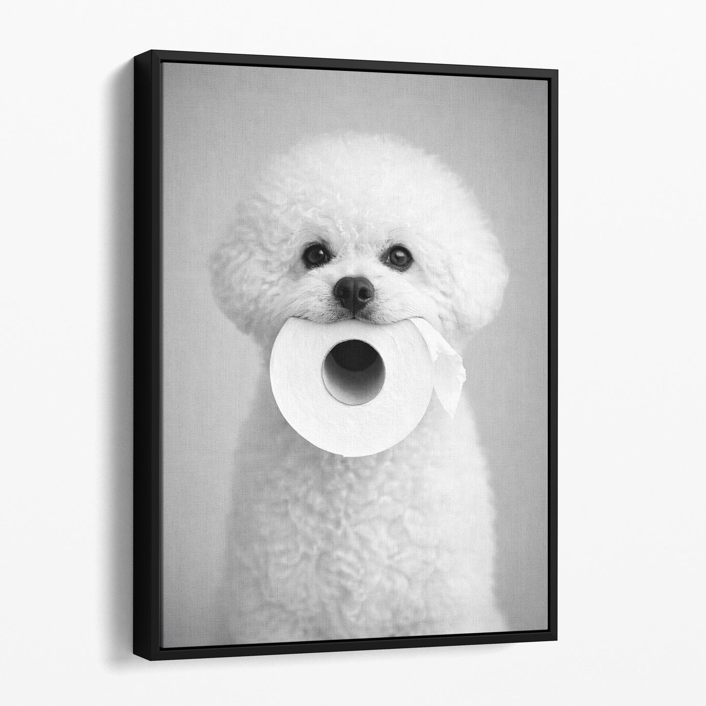 Bichon Frise Toilet Paper