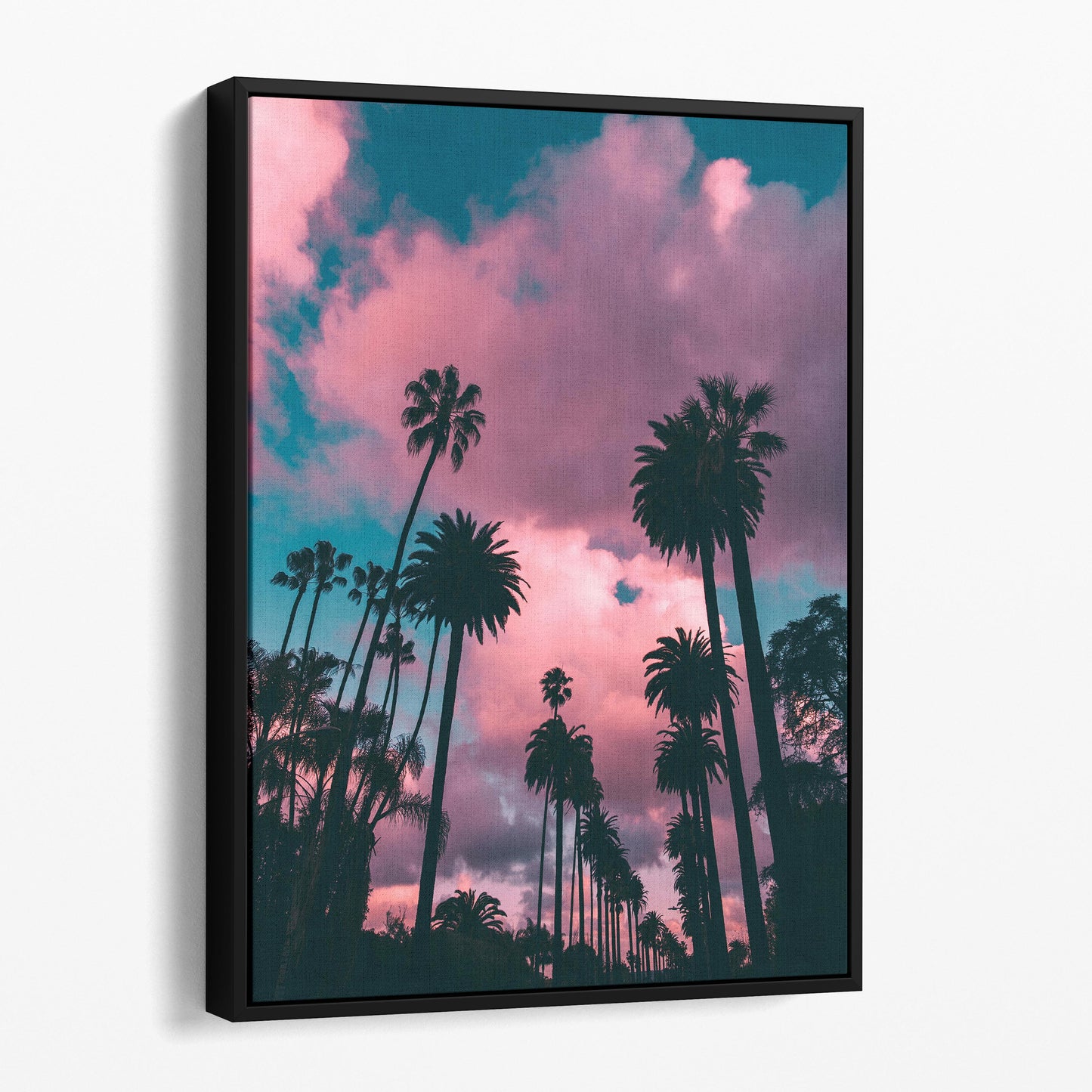 Los Angeles Palm Trees Sunset