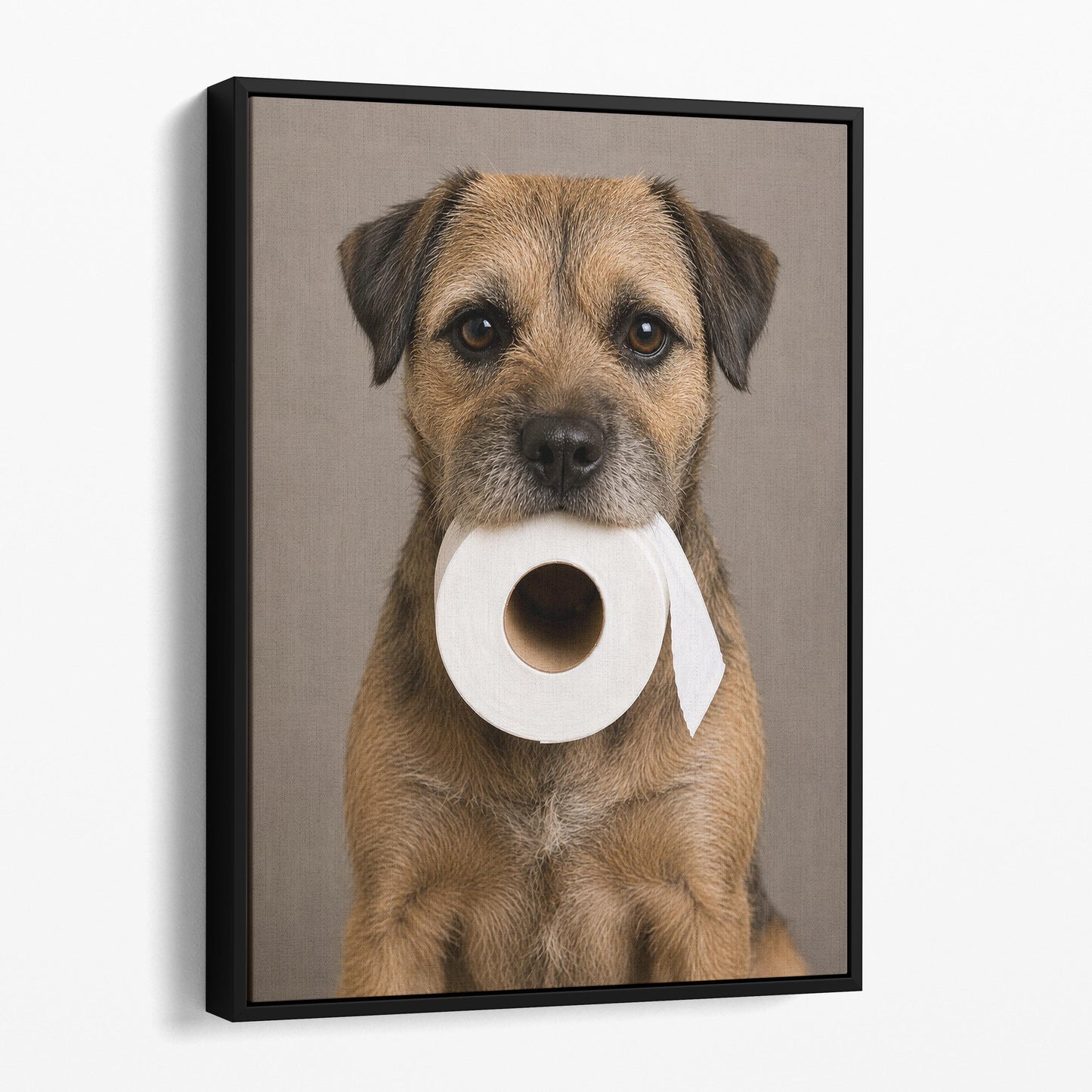 Border Terrier Dog Toilet Paper