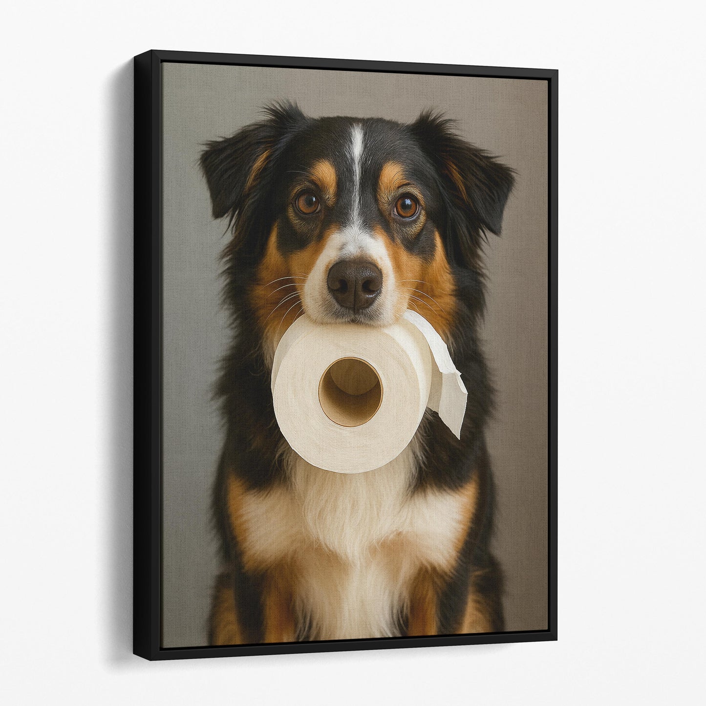 Miniature American Shepherd Dog Toilet Paper