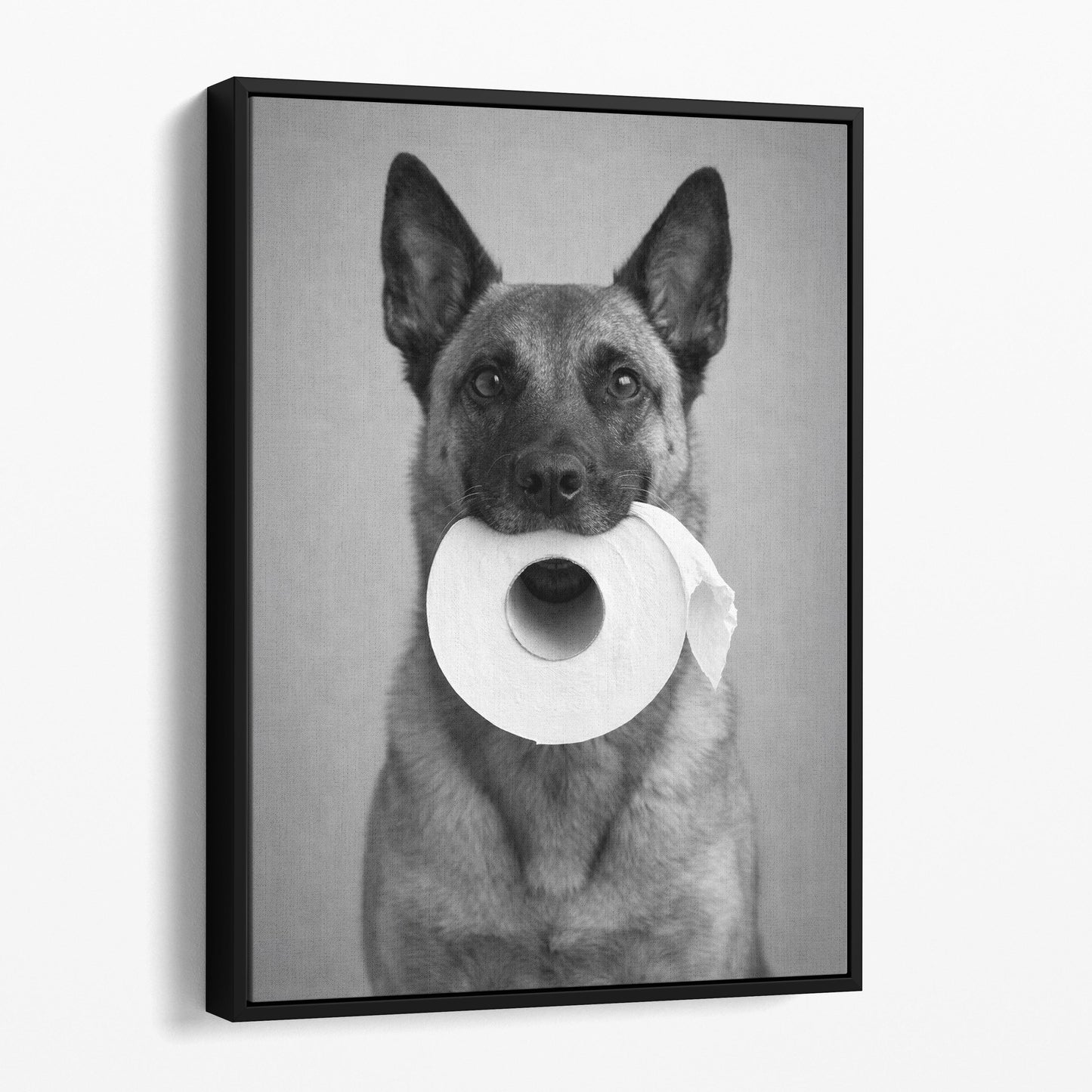 Belgian Malinois Dog Toilet Paper