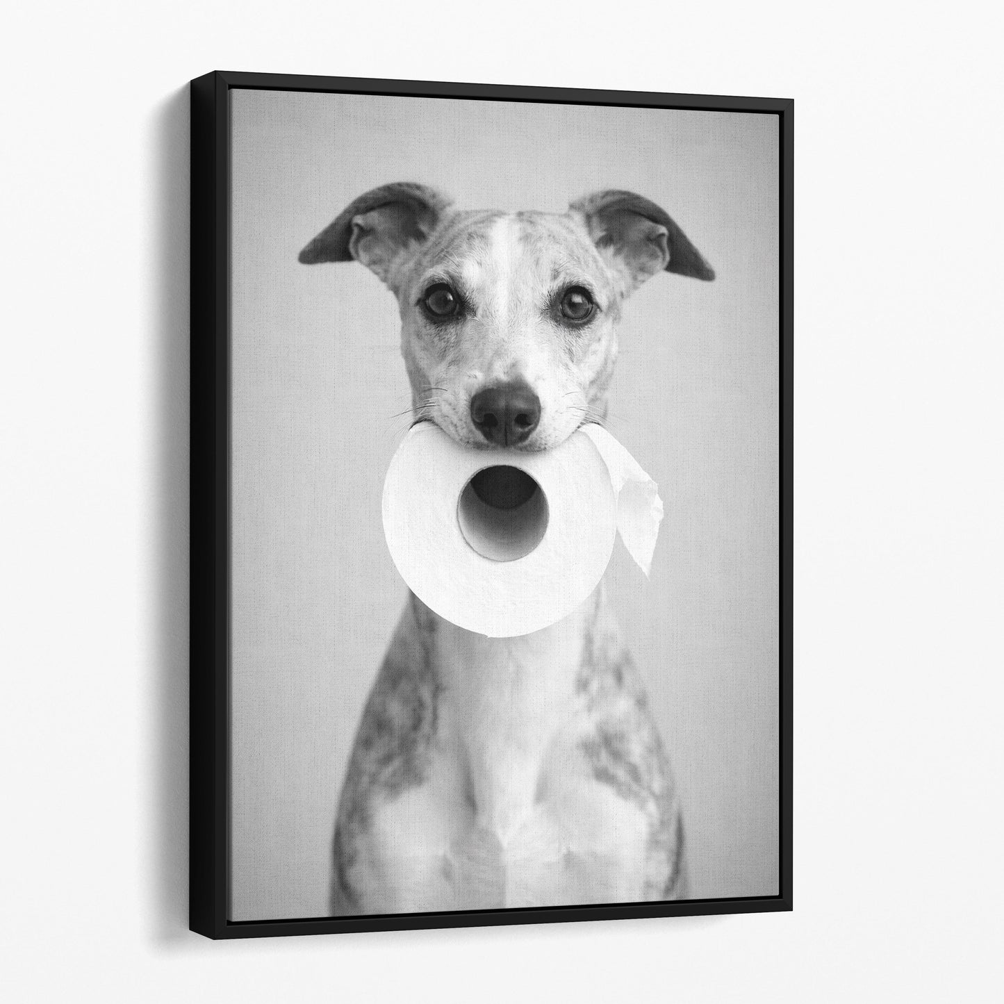Whippet Dog Toilet Paper