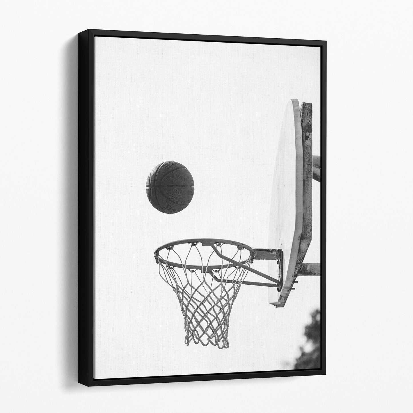 Basketball Shot