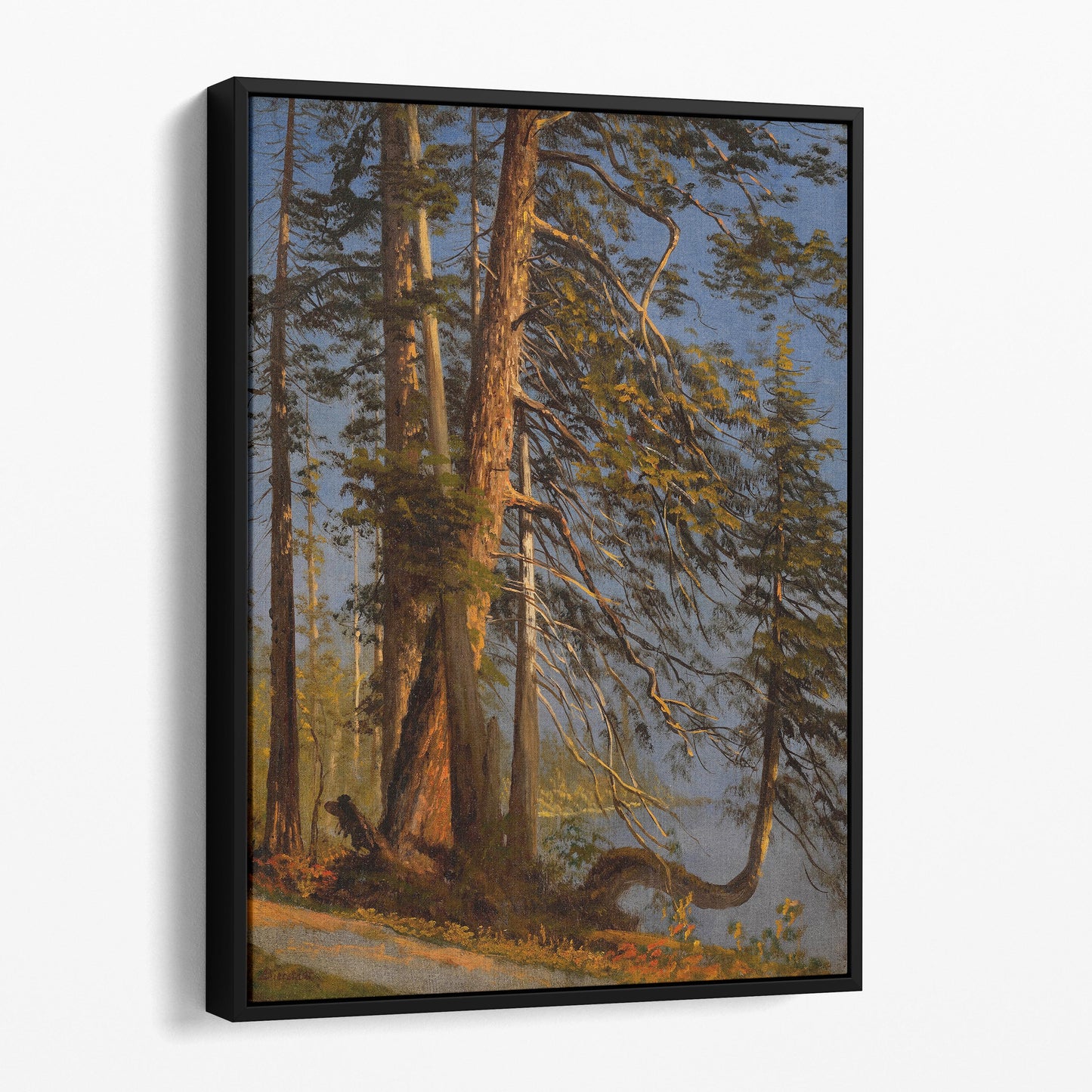 Park at Vancouver, 1889 by Albert Bierstadt