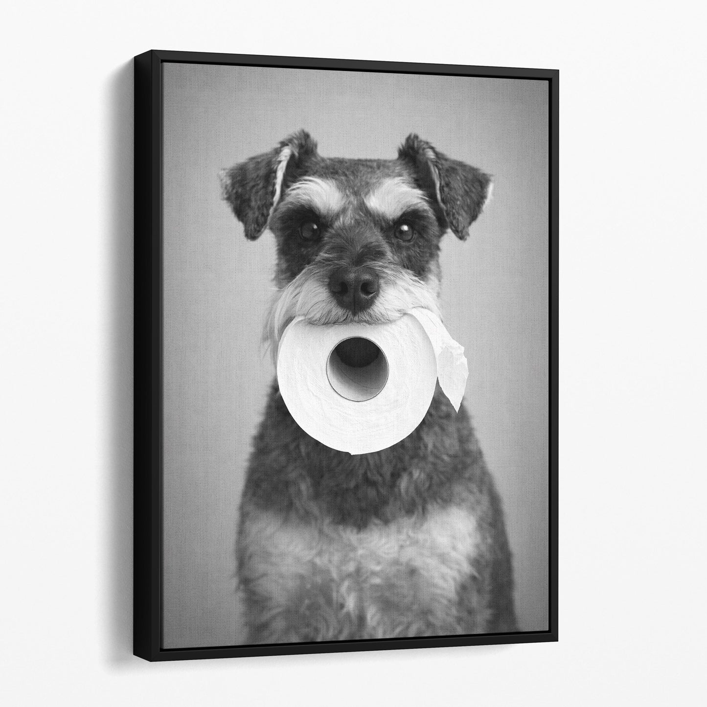 Miniature Schnauzer Dog Toilet Paper