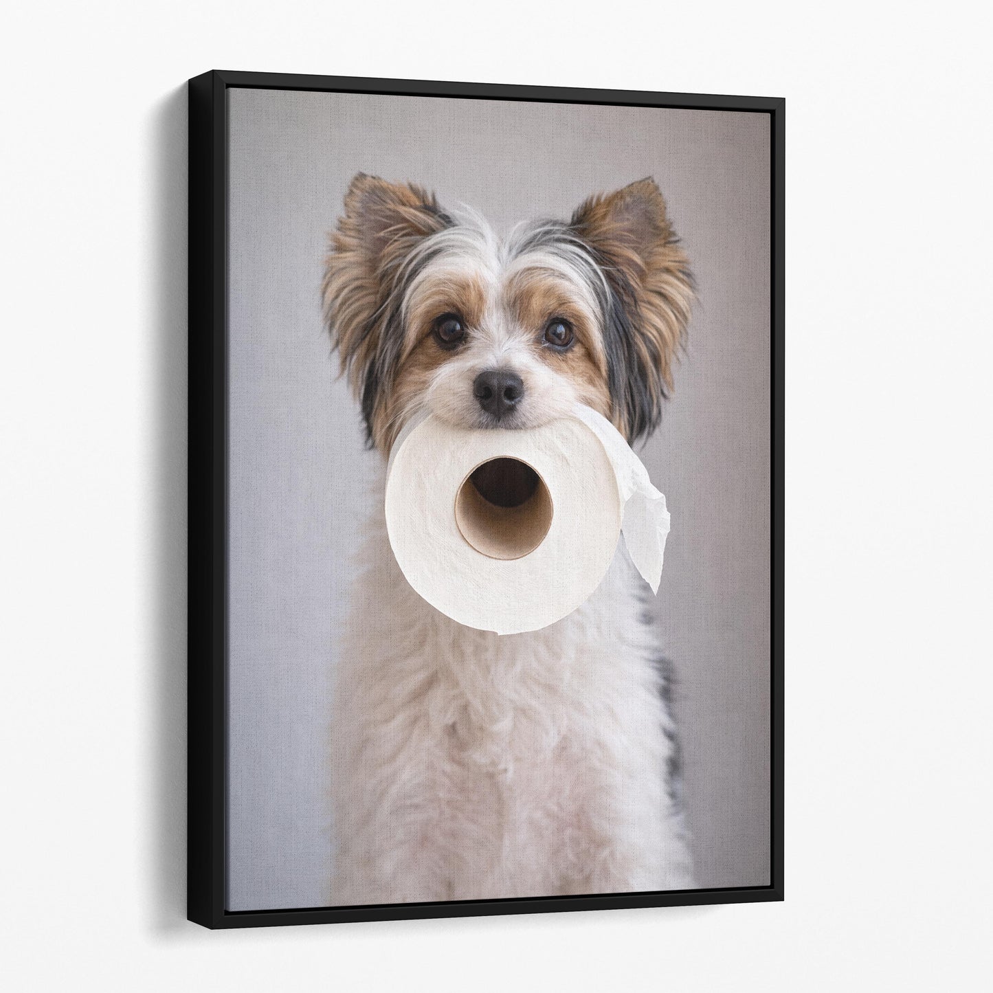 Biewer Terrier Dog Toilet Paper