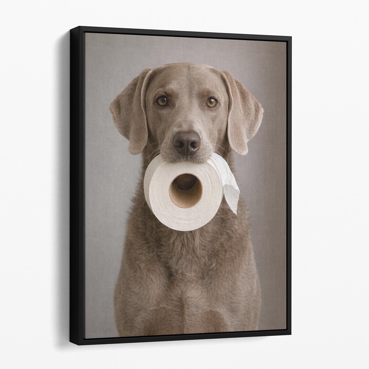 Weimaraner Dog Toilet Paper