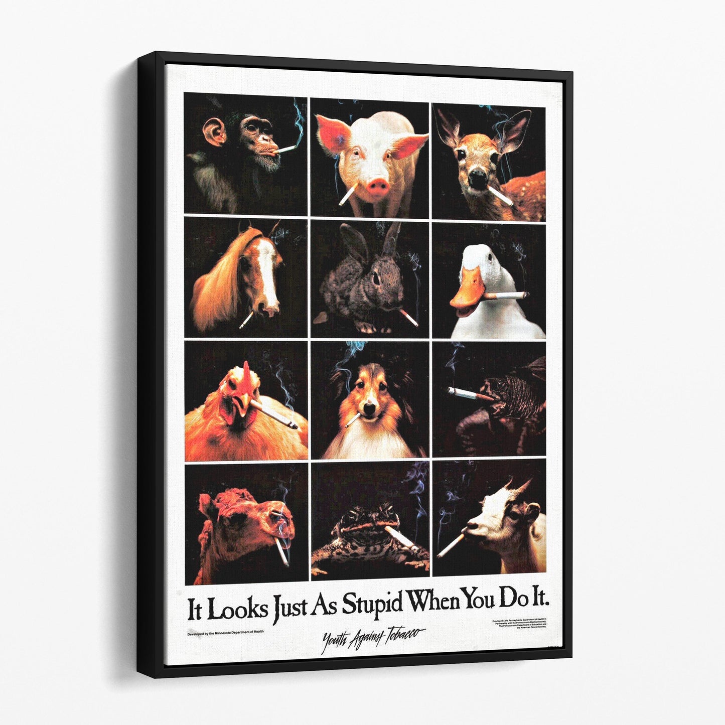 It Looks Just As Stupid When You Do It Animal Smoking Ad