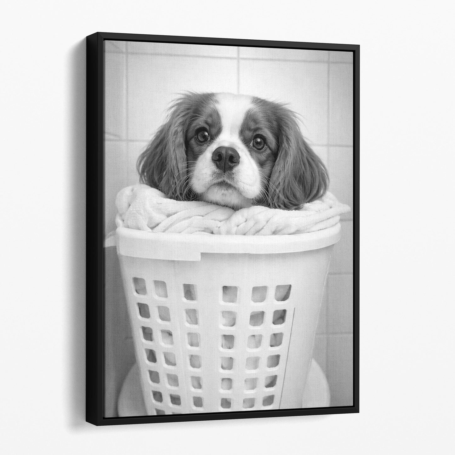 Cavalier King Charles Spaniel Dog Laundry