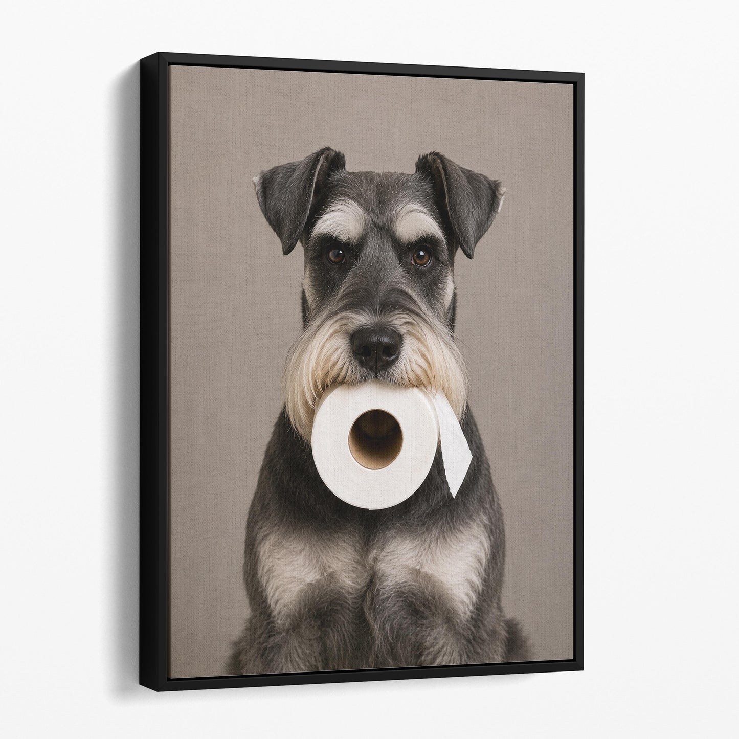 Standard Schnauzer Dog Toilet Paper