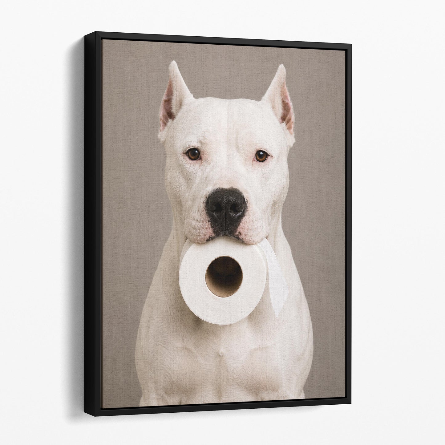 Dogo Argentino Toilet Paper